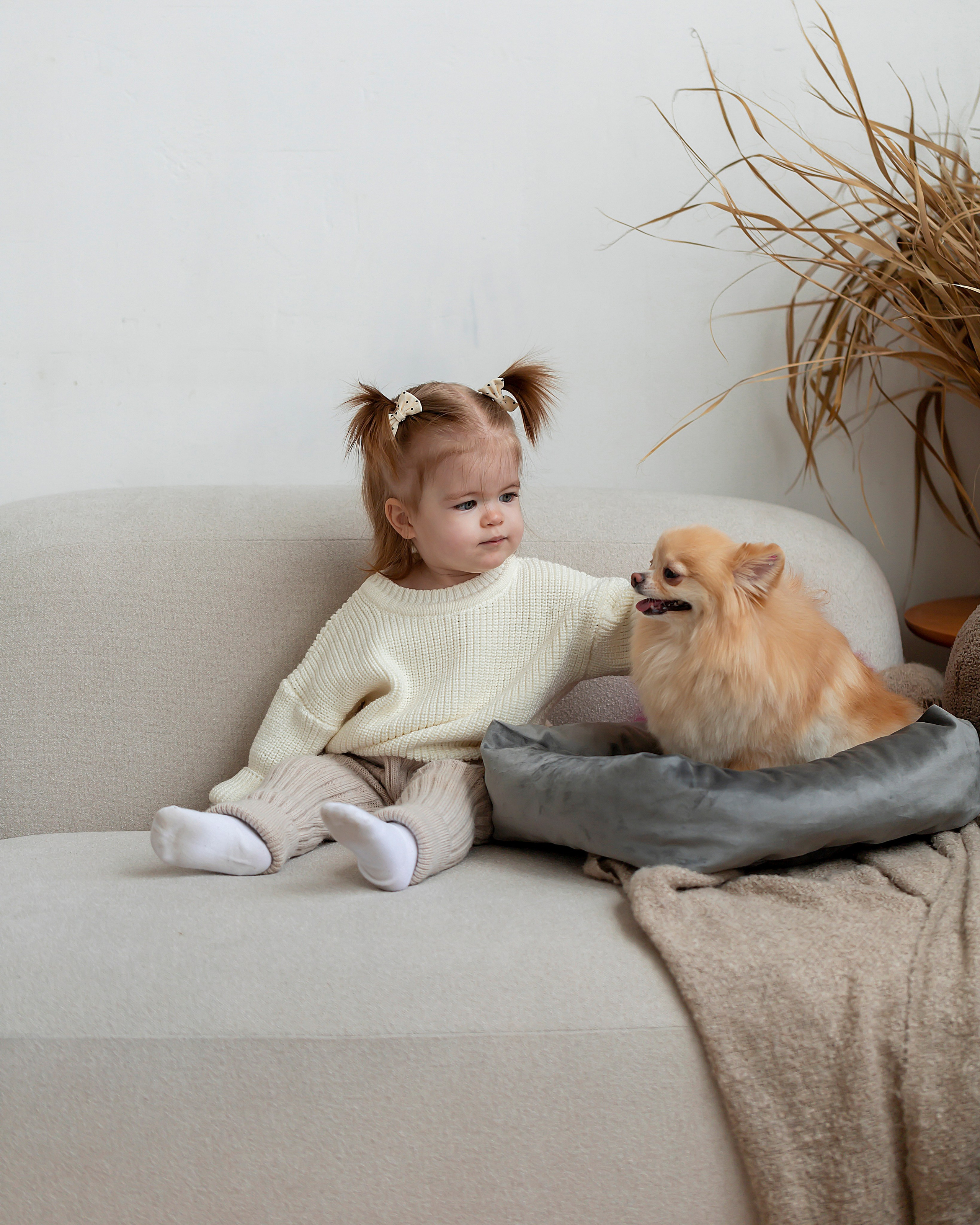 Лежанки для животных. Предметный & фудфотограф Рязань