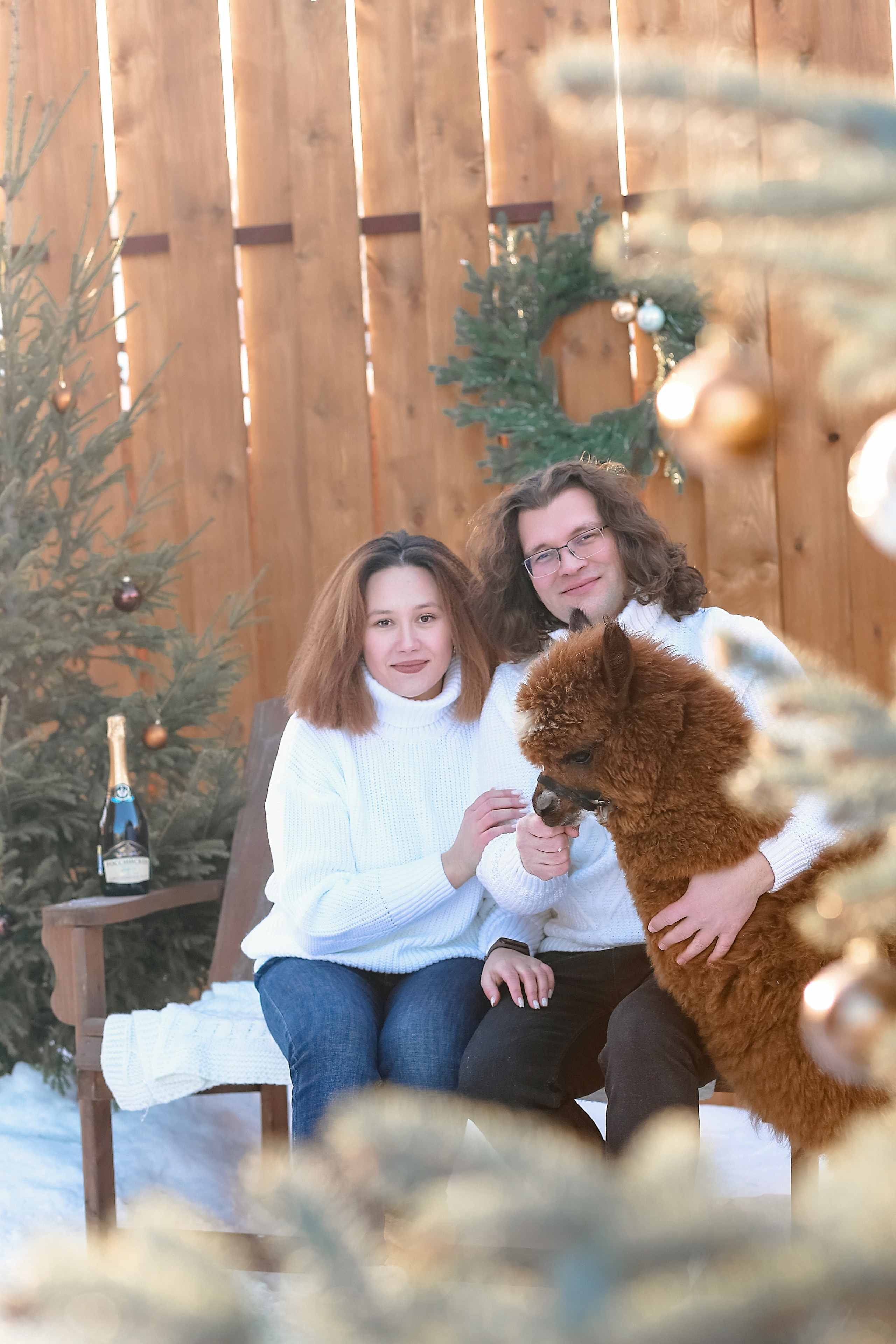 Семейная съемка с Альпакой!. Иванова Ирина Свадебный и семейный фотограф г. Уфа