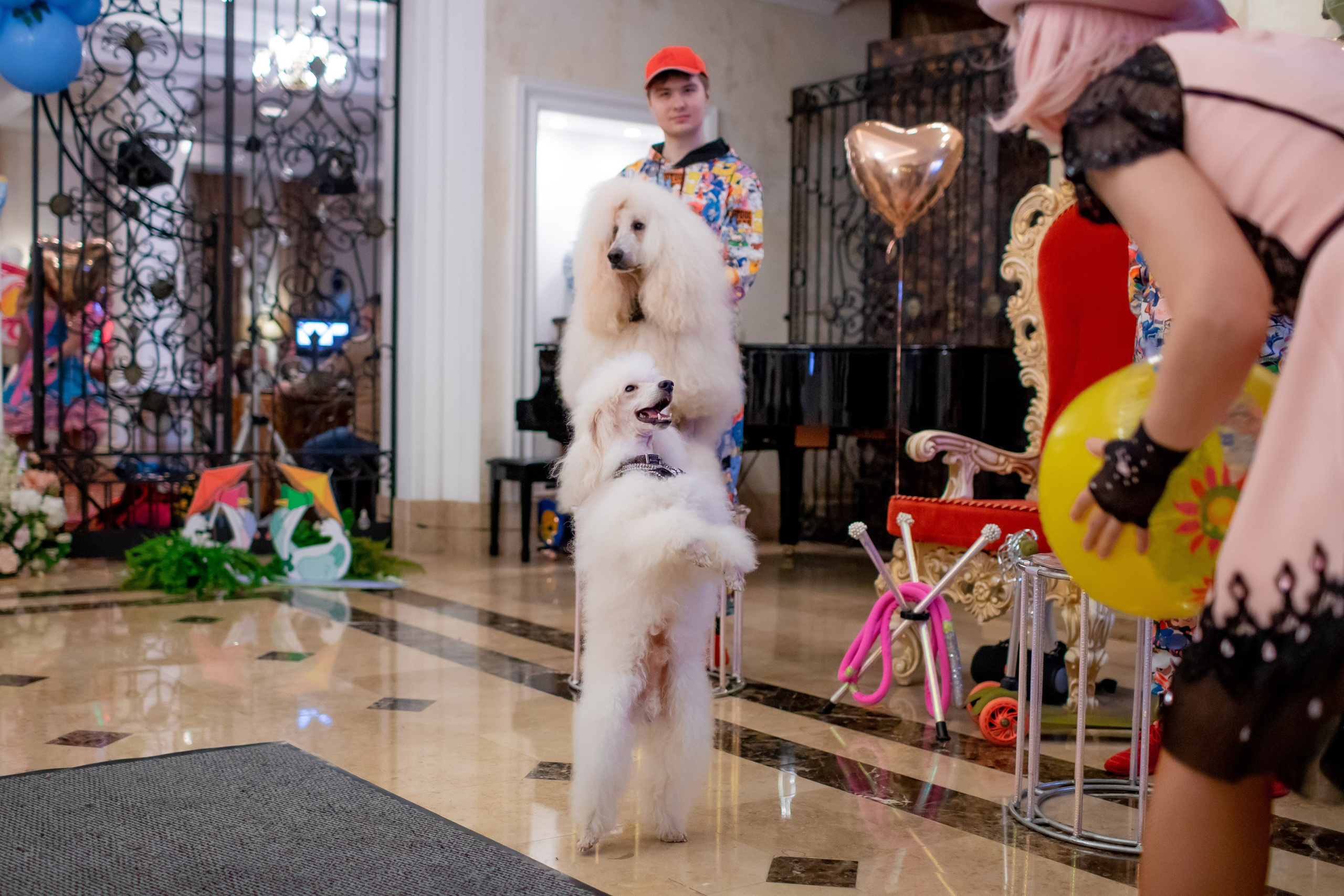 Детские праздники. Семейный фотограф в Москве Владимир Васильев