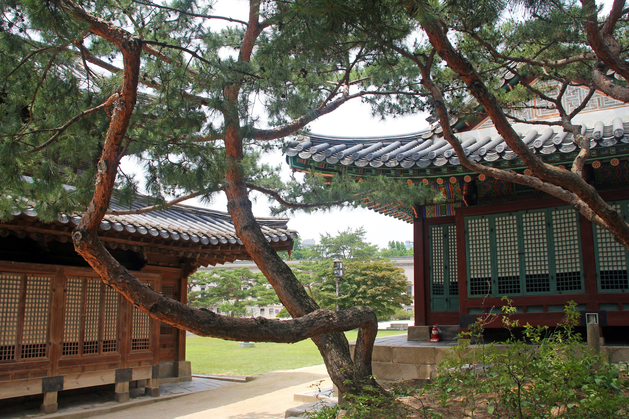 Южная Корея — Сеул. Фотограф Алексей Федорищев