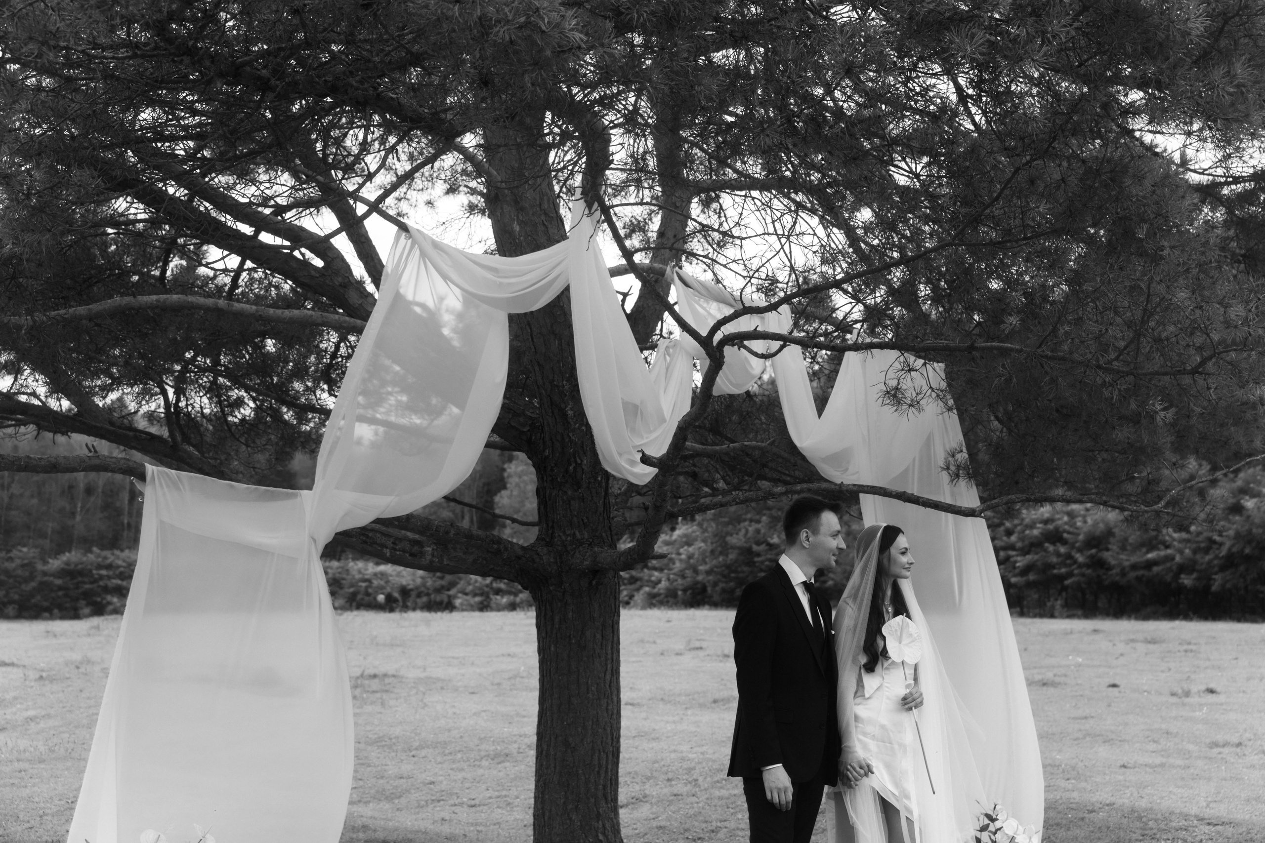 Иннокентий и Елизавета. Свадебный фотограф Дарья Свет