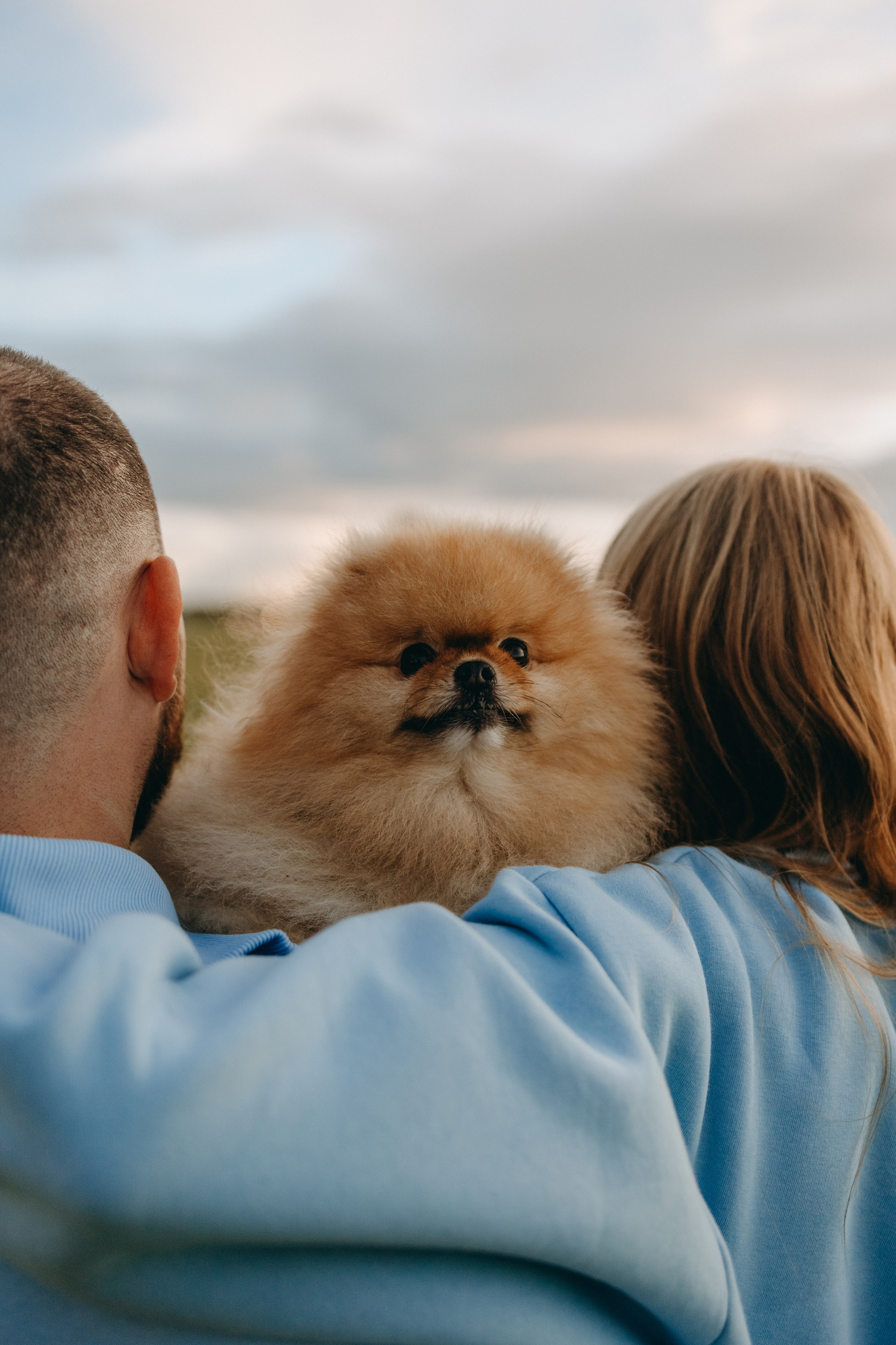 Стив и его семья. Фотограф — Анималист | Санкт-Петербург