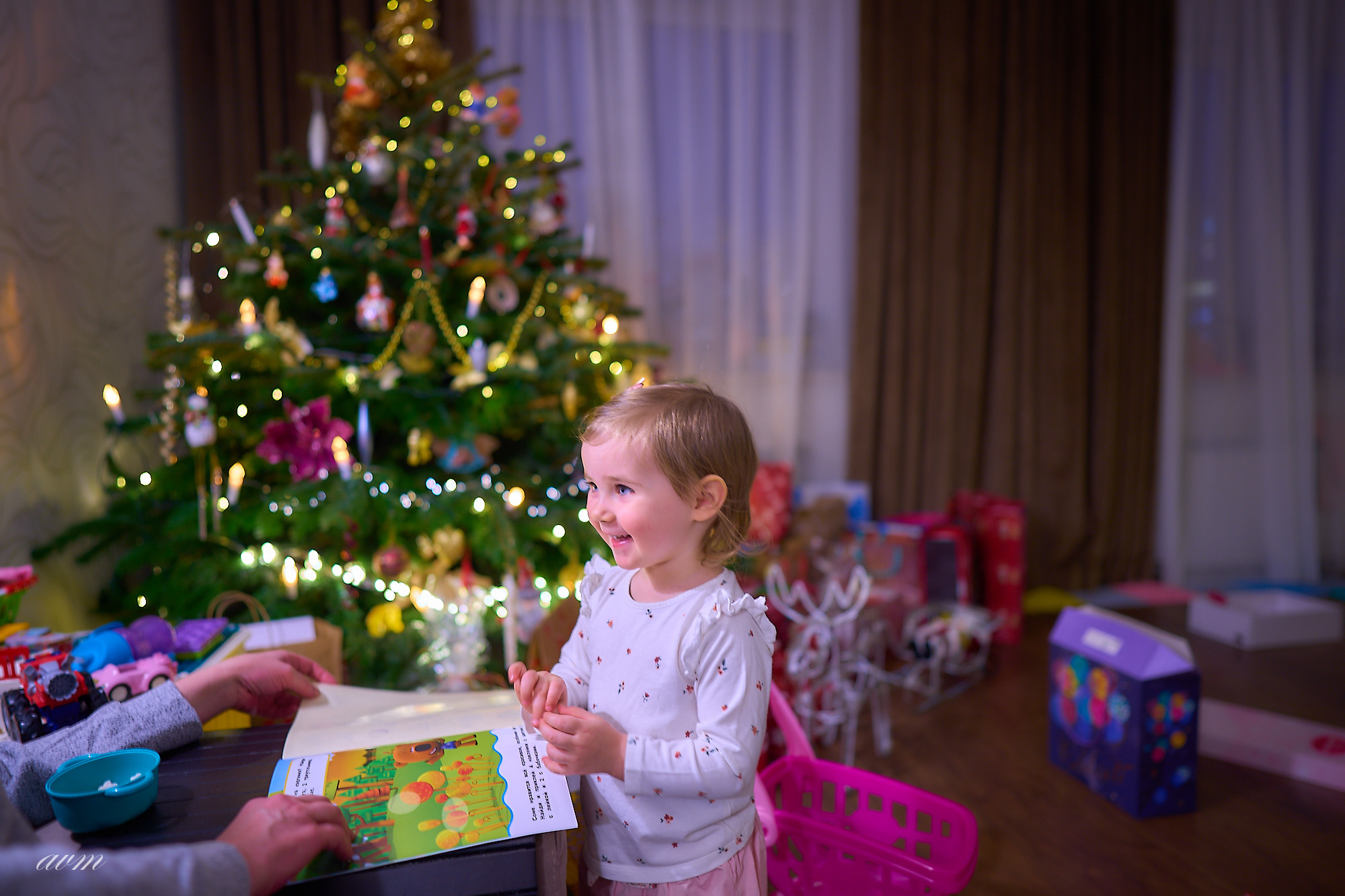 Машенька новый год 2022. Фотограф Михеев Андрей