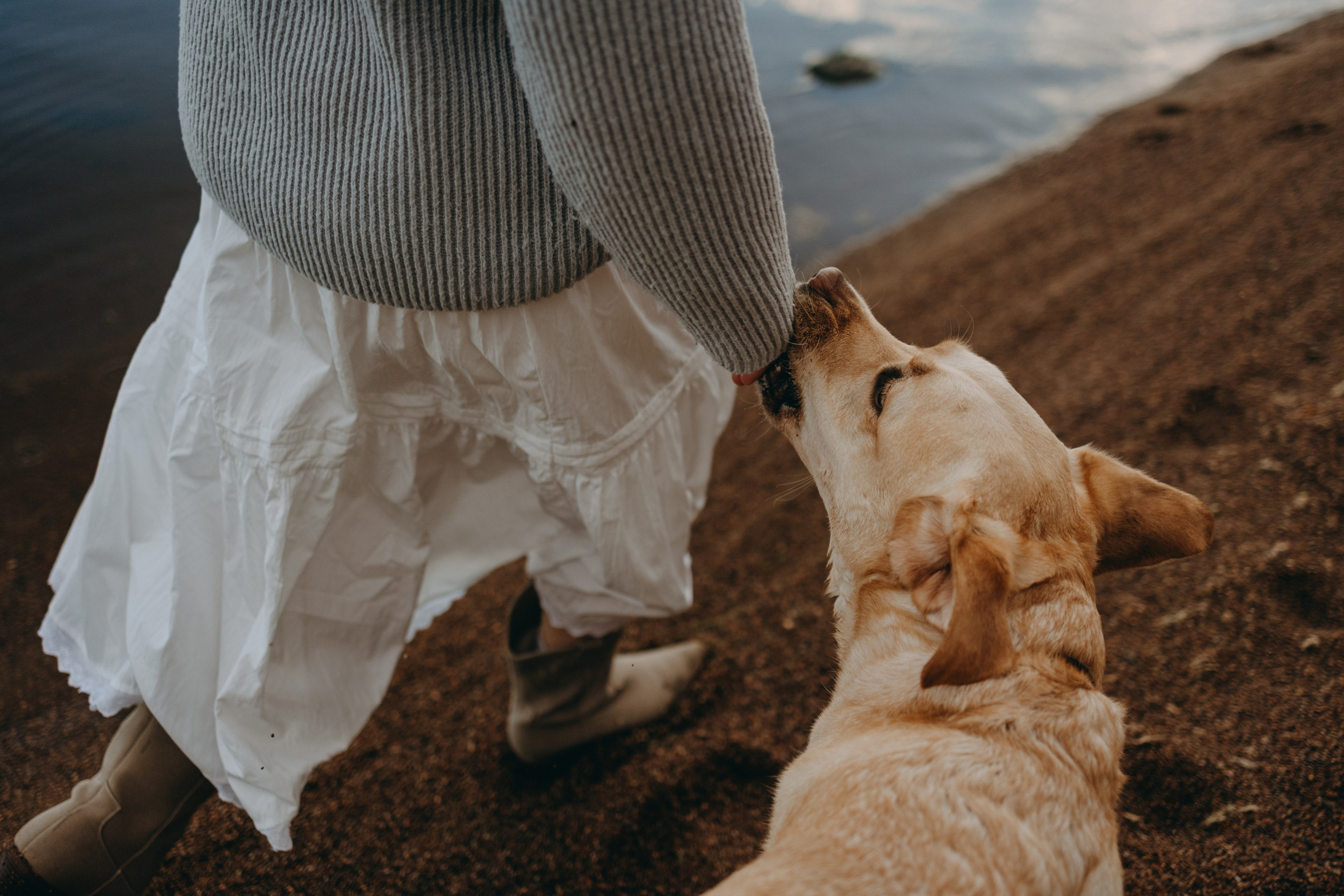 Наташа и Шани. Фотограф — Анималист | Санкт-Петербург