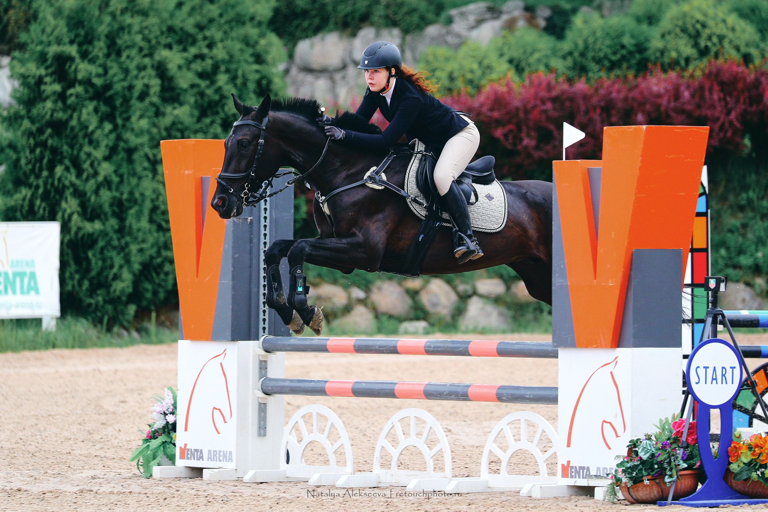 Кубок Санкт-Петербурга по конкуру, КСК Вента-Арена | 07'2022