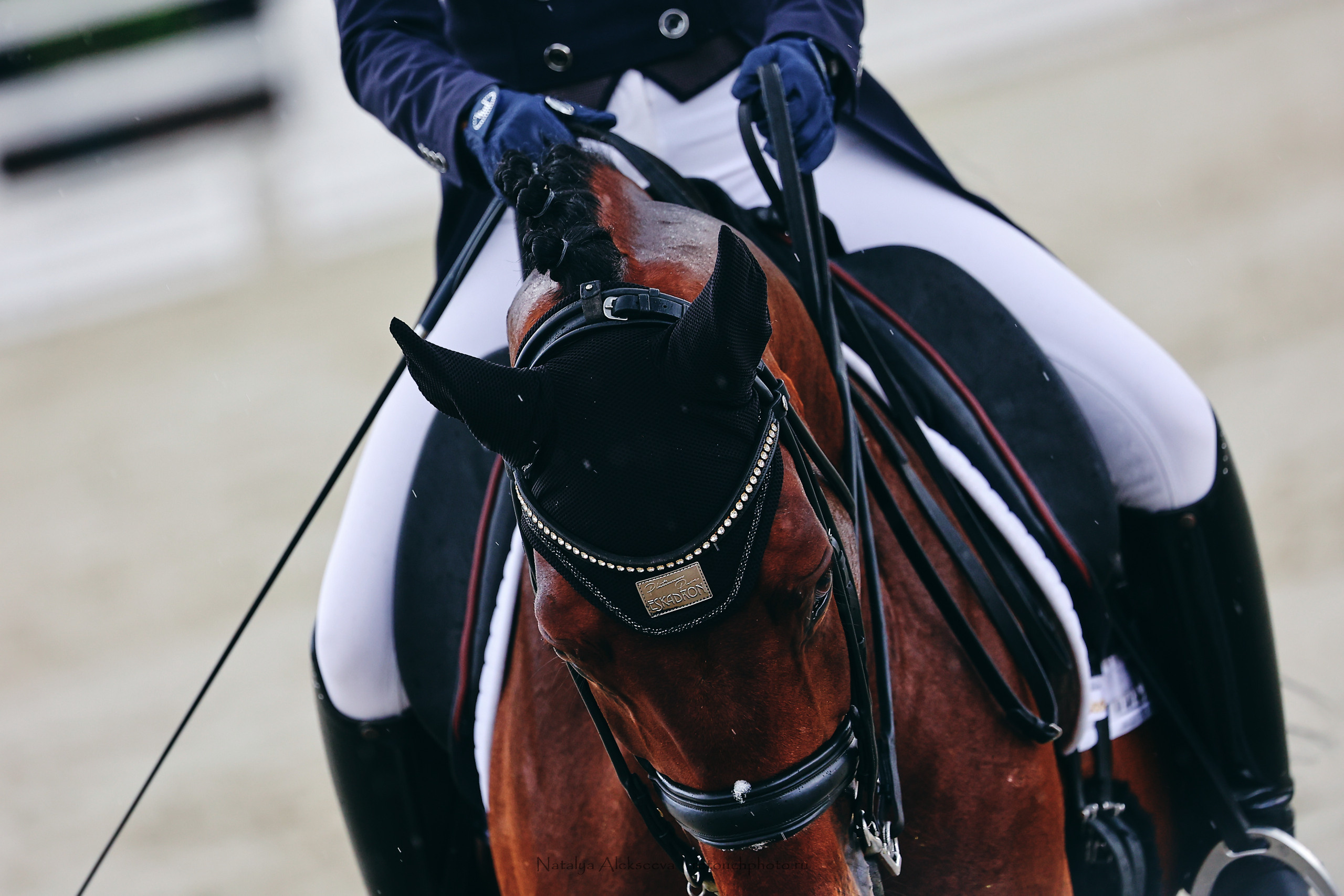 Летний Кубок ФКСМ по выездке, КСК Отрада | 07'2022. Репортажный фотограф и ретушер в Москве Наталья Алексеева