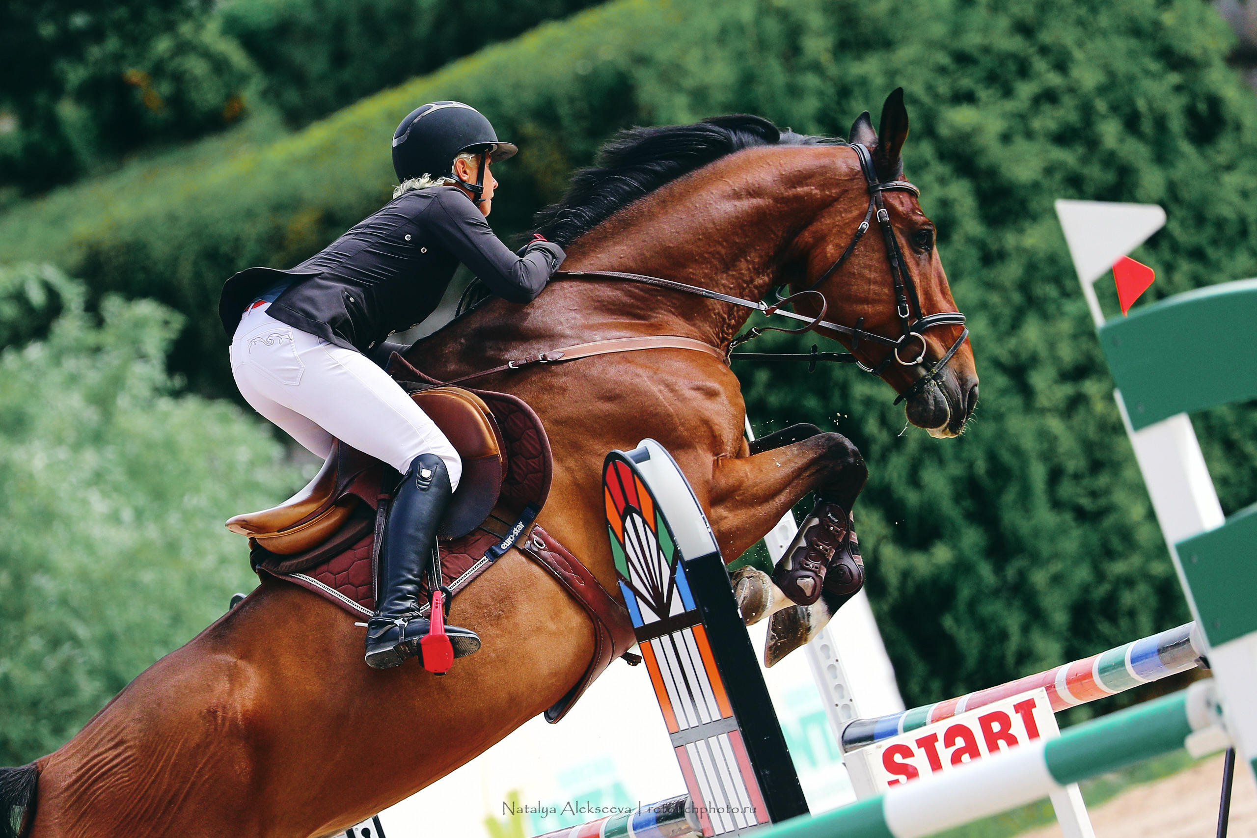 Кубок Санкт-Петербурга по конкуру, КСК Вента-Арена | 07'2022. Репортажный фотограф и ретушер в Москве Наталья Алексеева
