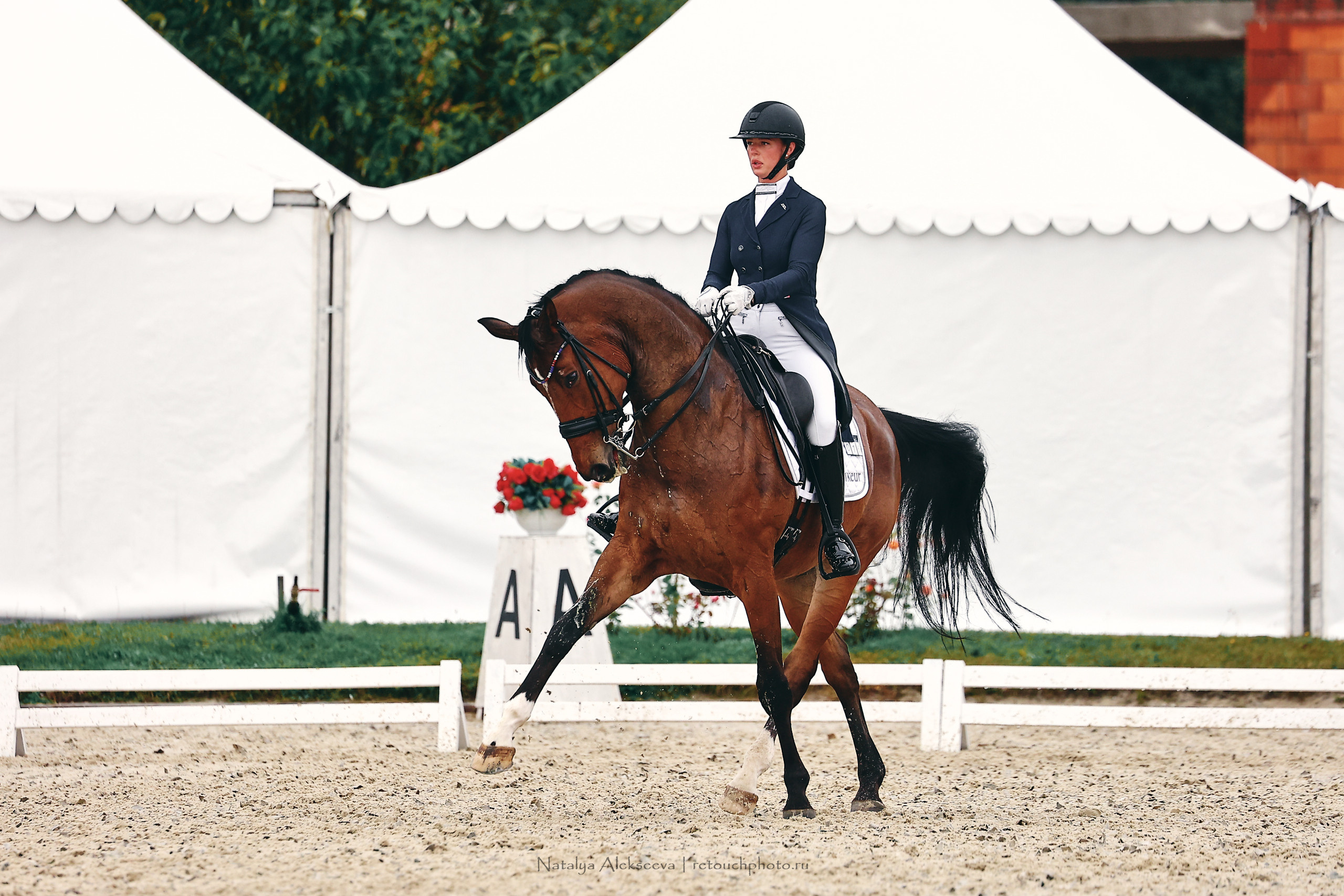 Личный ЧР по выездке, КСК Новый Век | 09'2022. Репортажный фотограф и ретушер в Москве Наталья Алексеева