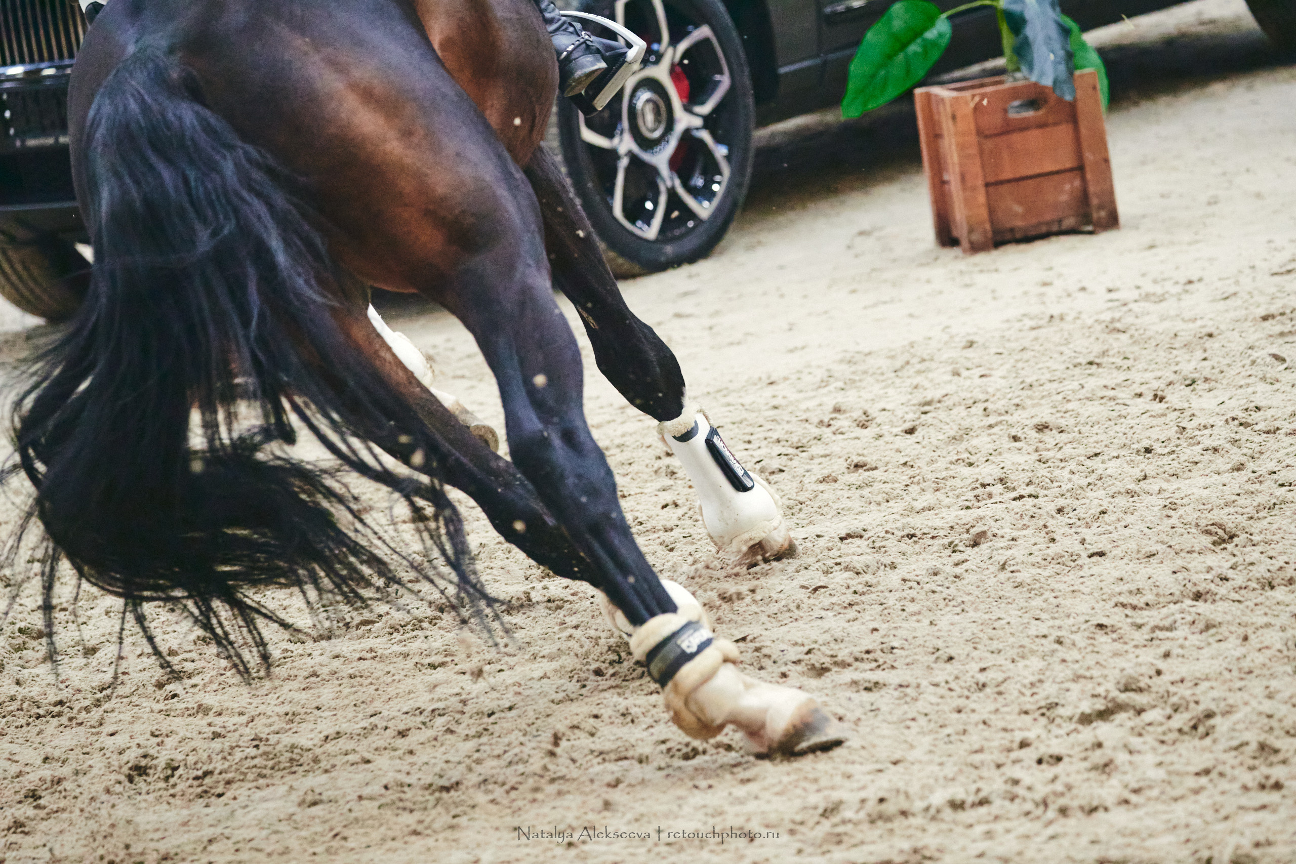 Кубок Президента ОАЭ по конкуру, Maxima Stables | 12'2022. Репортажный фотограф и ретушер в Москве Наталья Алексеева