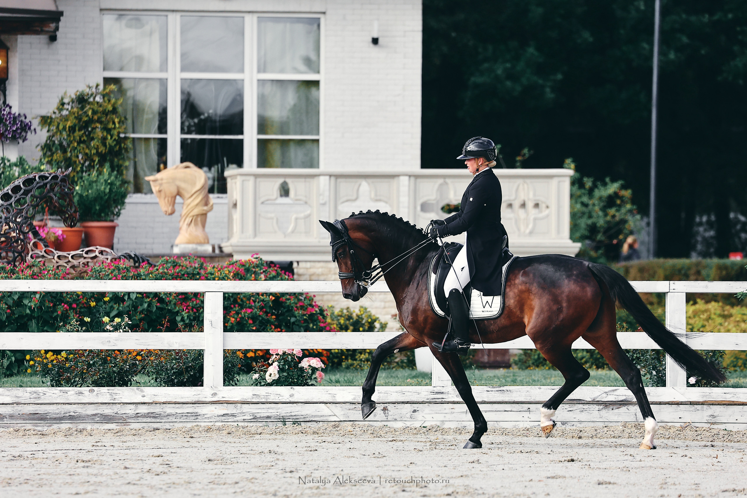 Кубок КСК Отрада по выездке | 09'2022. Репортажный фотограф и ретушер в Москве Наталья Алексеева