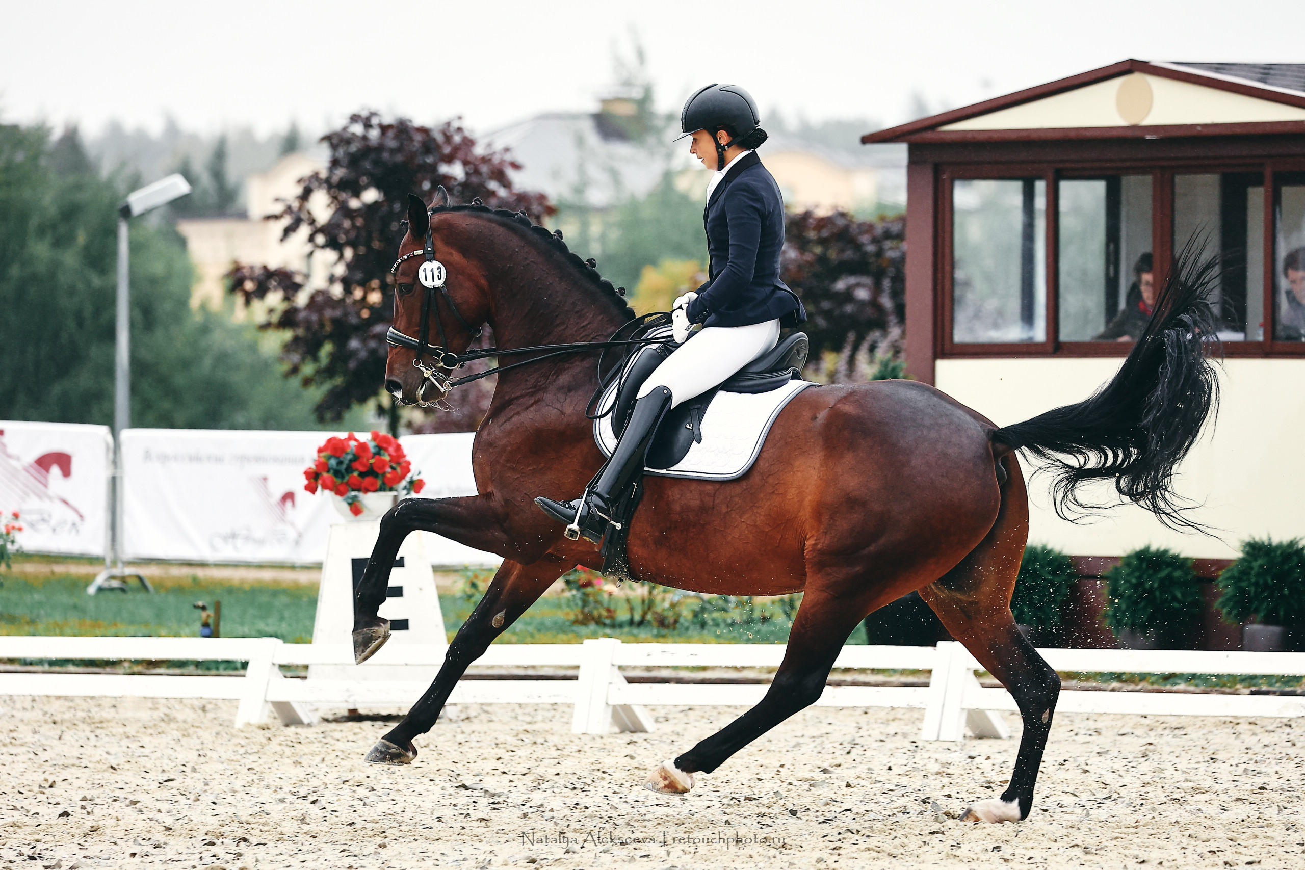 Личный ЧР по выездке, КСК Новый Век | 09'2022. Репортажный фотограф и ретушер в Москве Наталья Алексеева