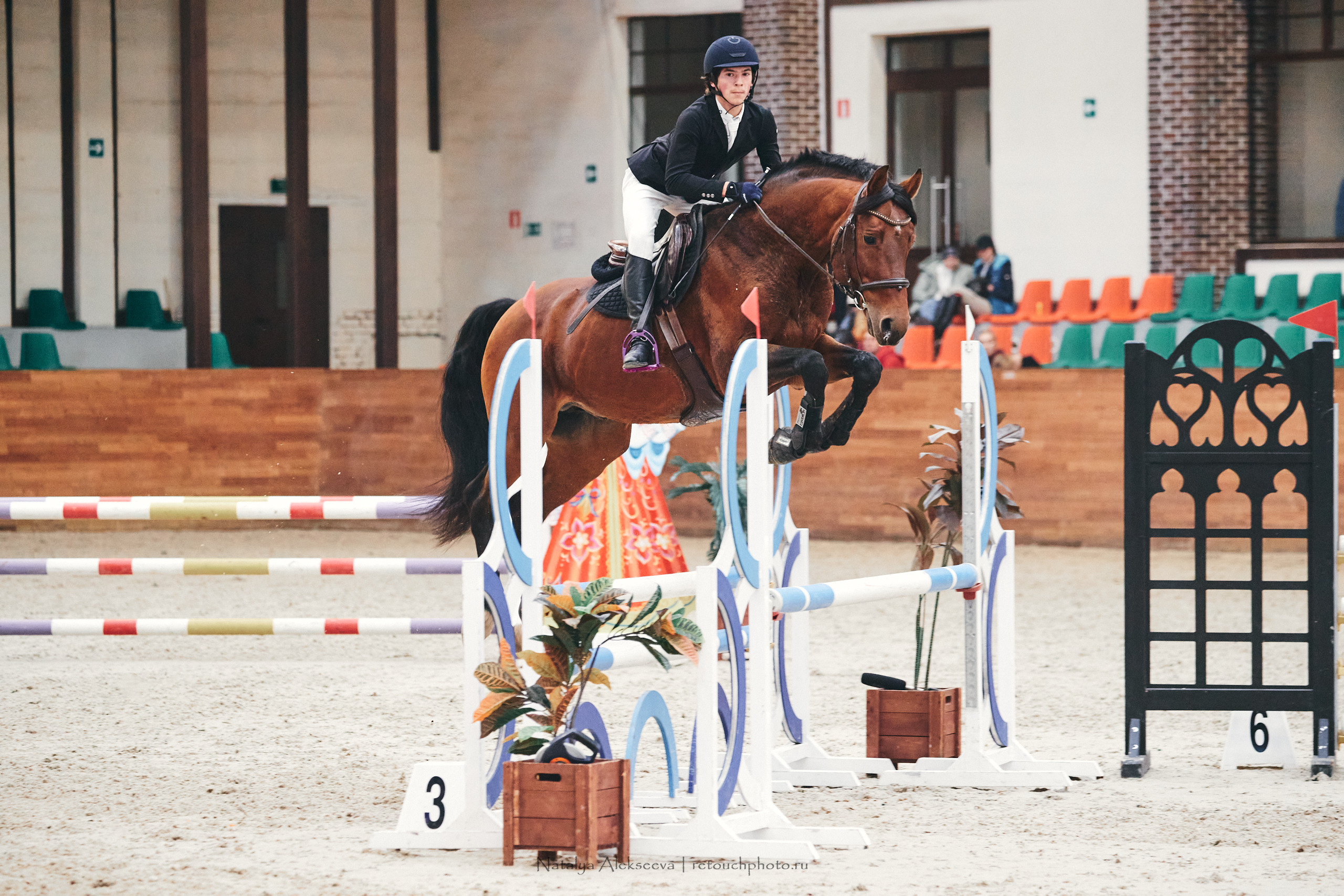 Финал Кубка Maxima Park по конкуру, Maxima Stables | 10'2022. Репортажный фотограф и ретушер в Москве Наталья Алексеева