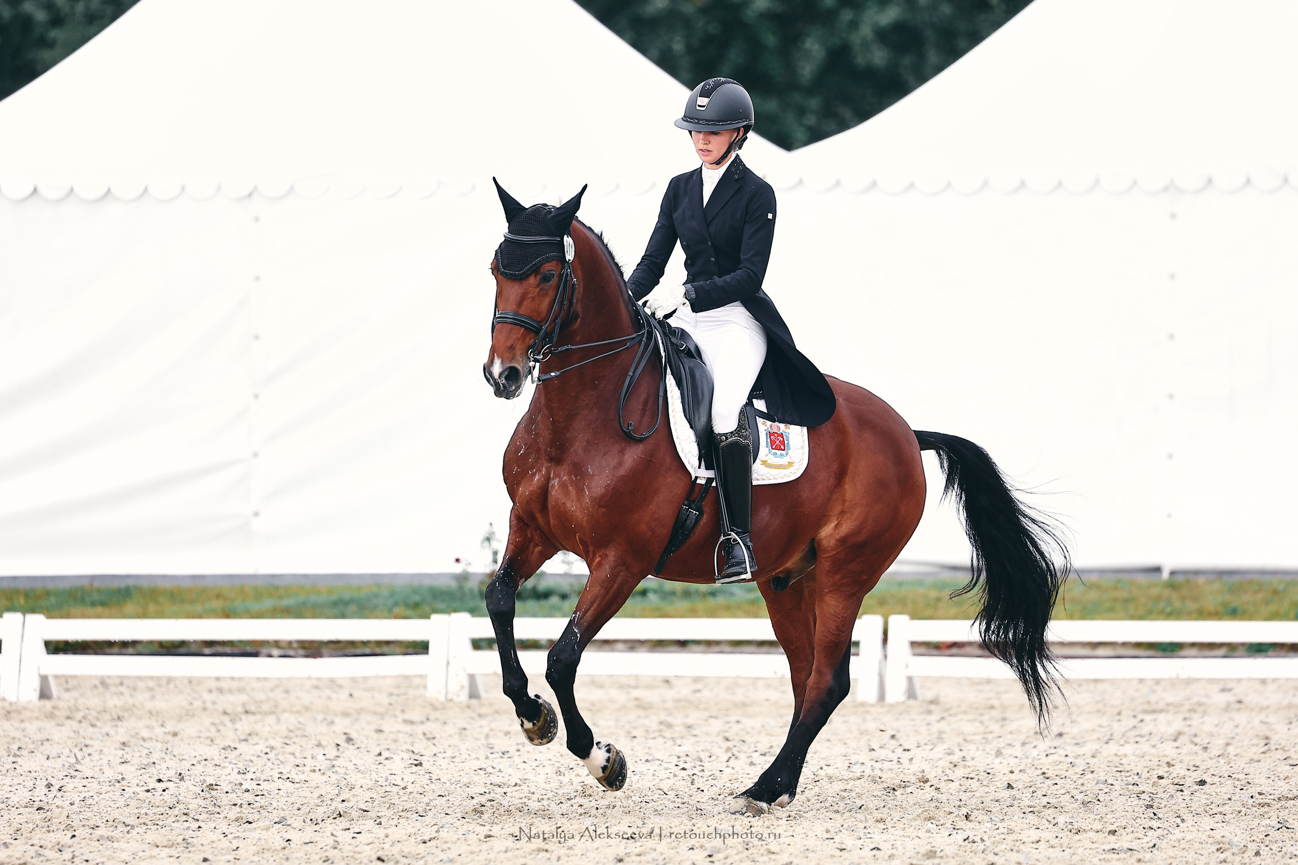 Личный ЧР по выездке, КСК Новый Век | 09'2022. Репортажный фотограф и ретушер в Москве Наталья Алексеева