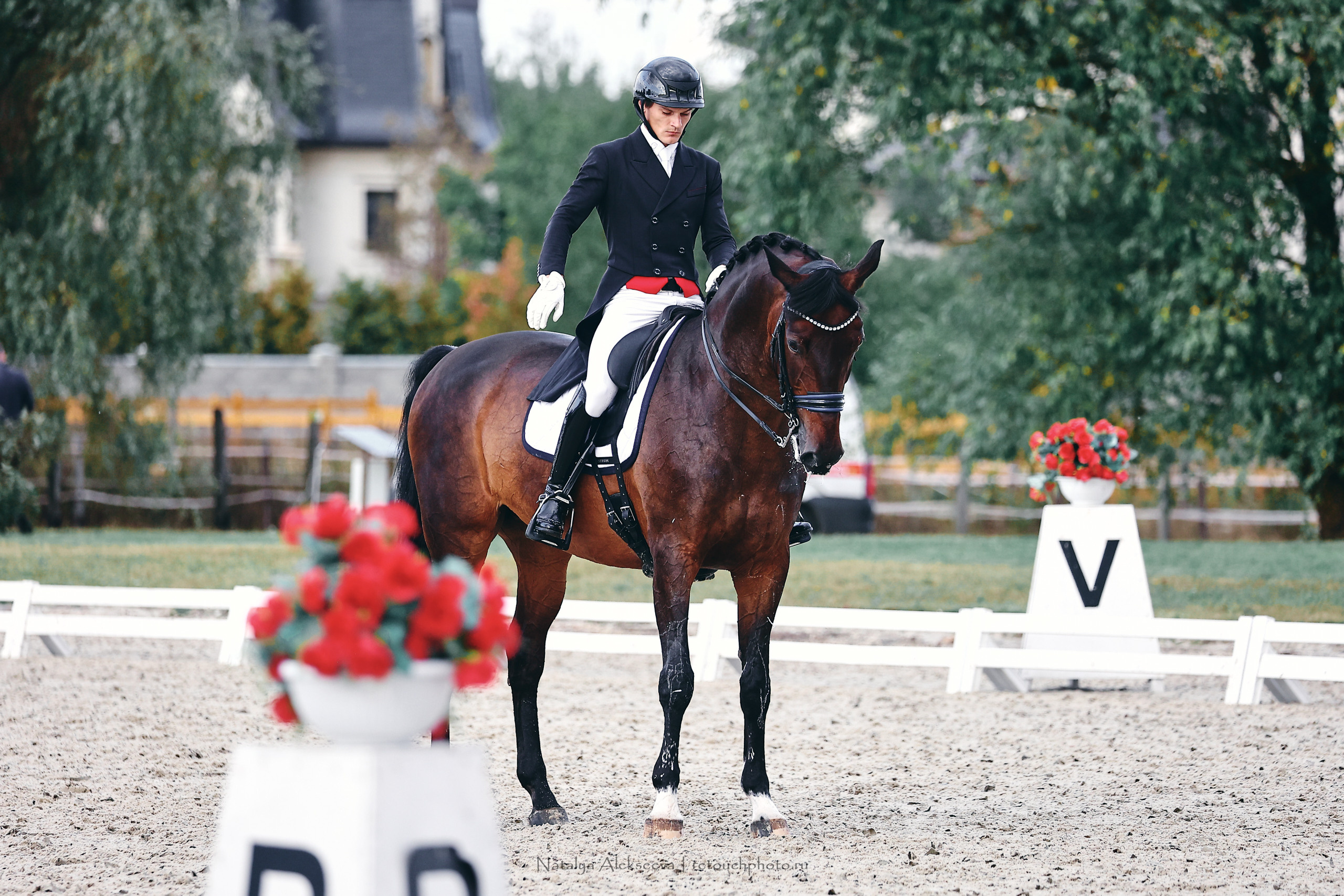 Личный ЧР по выездке, КСК Новый Век | 09'2022. Репортажный фотограф и ретушер в Москве Наталья Алексеева