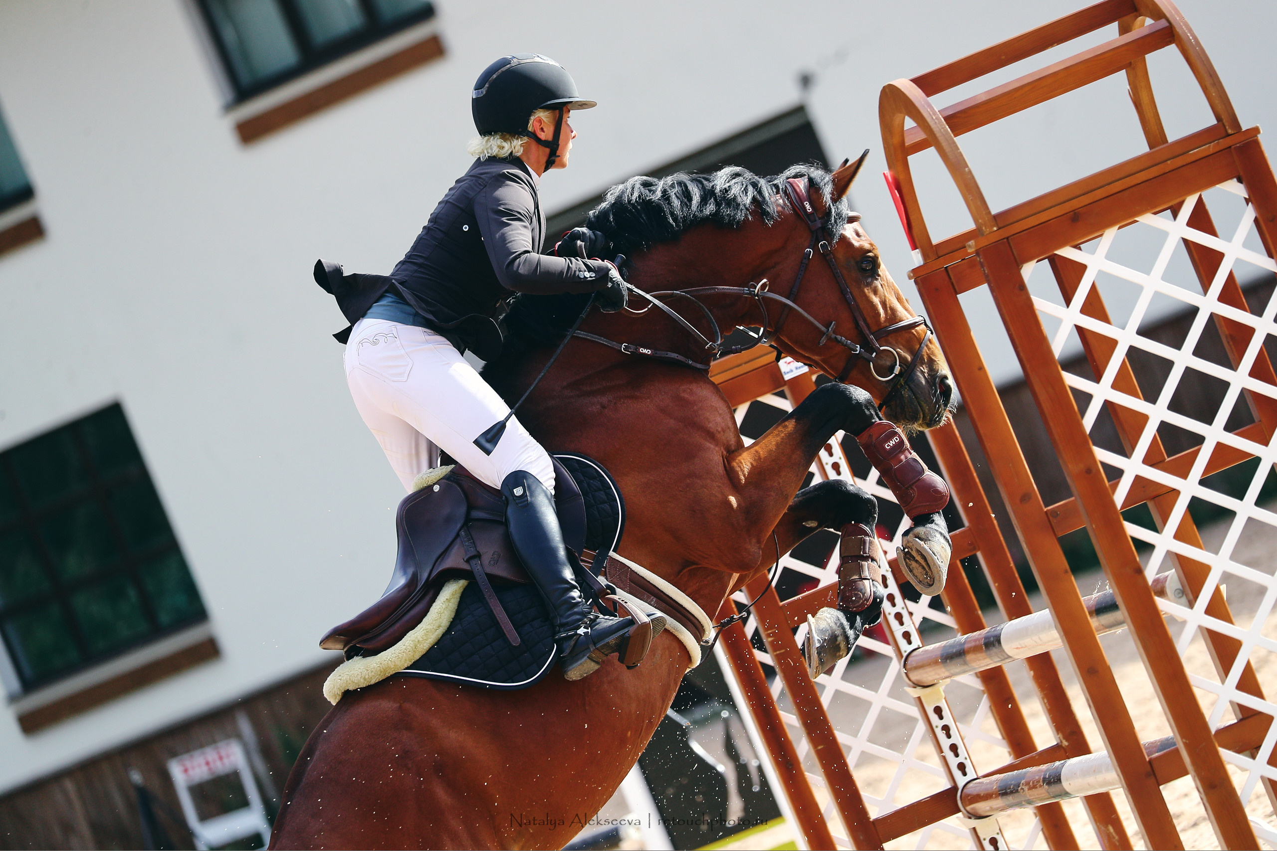 Кубок Санкт-Петербурга по конкуру, КСК Вента-Арена | 07'2022. Репортажный фотограф и ретушер в Москве Наталья Алексеева