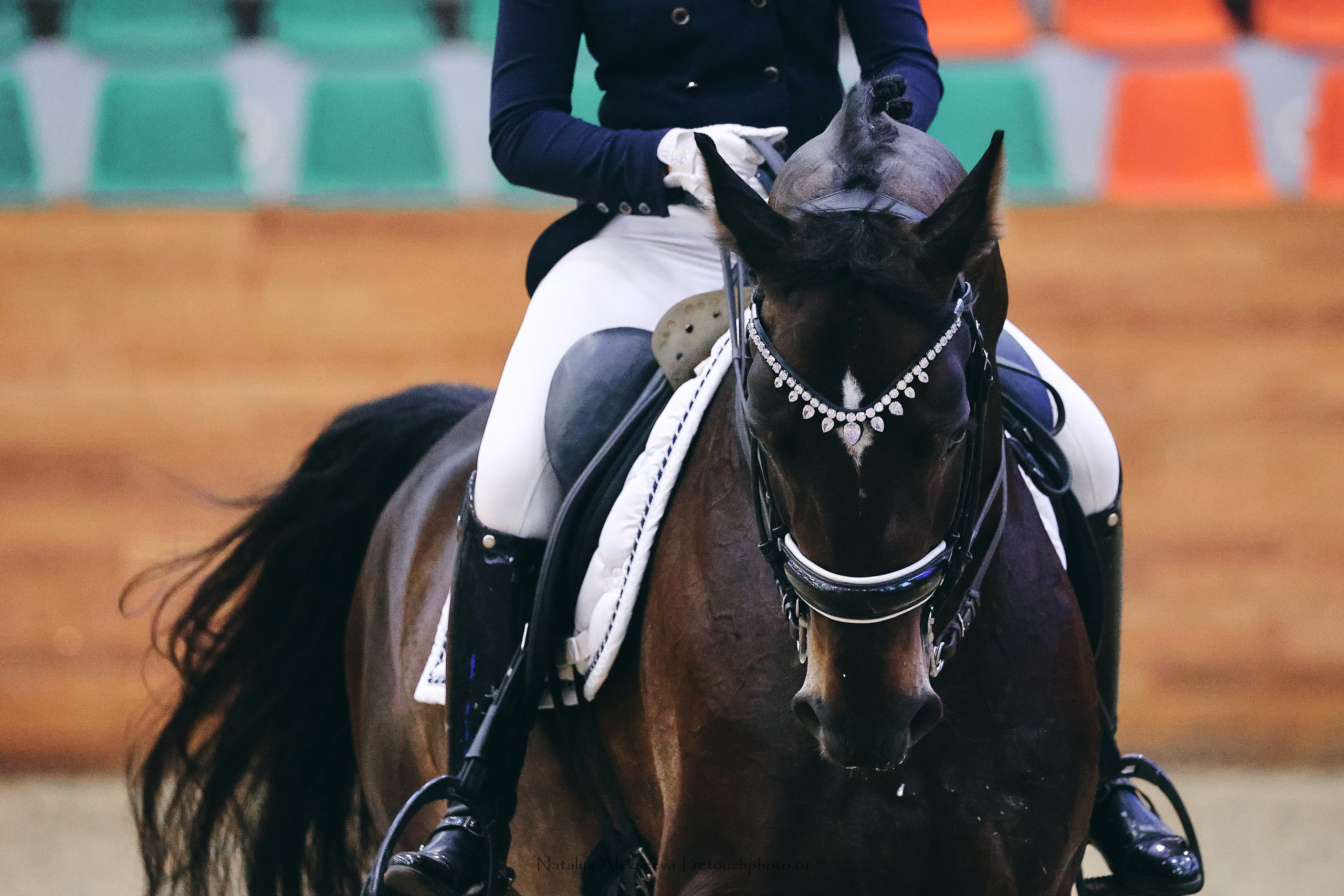 Eurasia Stars по выездке, Maxima Stables | 11'2022. Репортажный фотограф и ретушер в Москве Наталья Алексеева