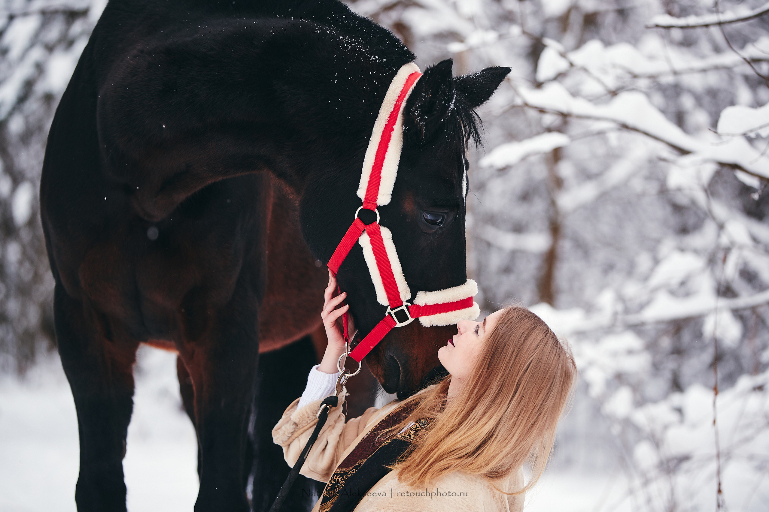 Аль Кампо и его люди, КСК Шарапово