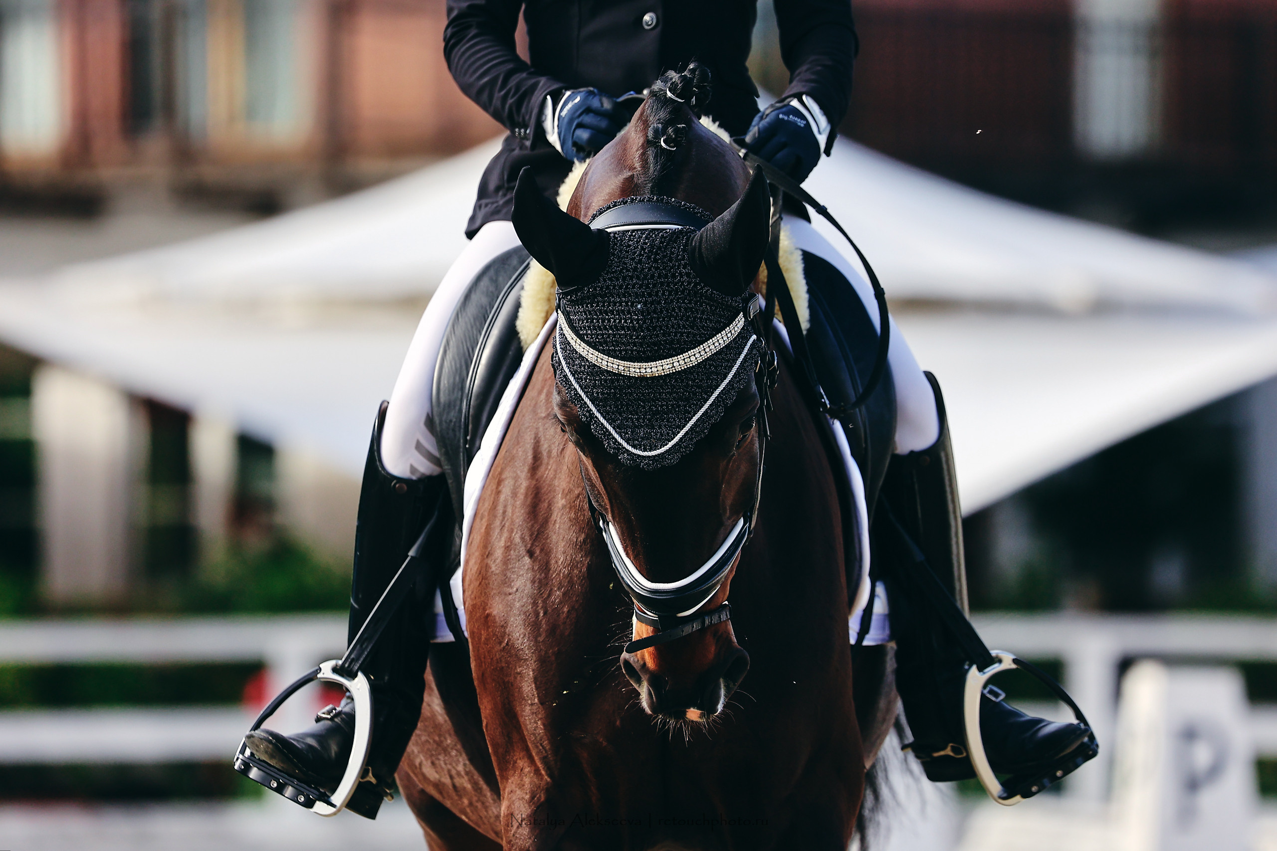 Летний Кубок ФКСМ по выездке, КСК Отрада | 07'2022. Репортажный фотограф и ретушер в Москве Наталья Алексеева