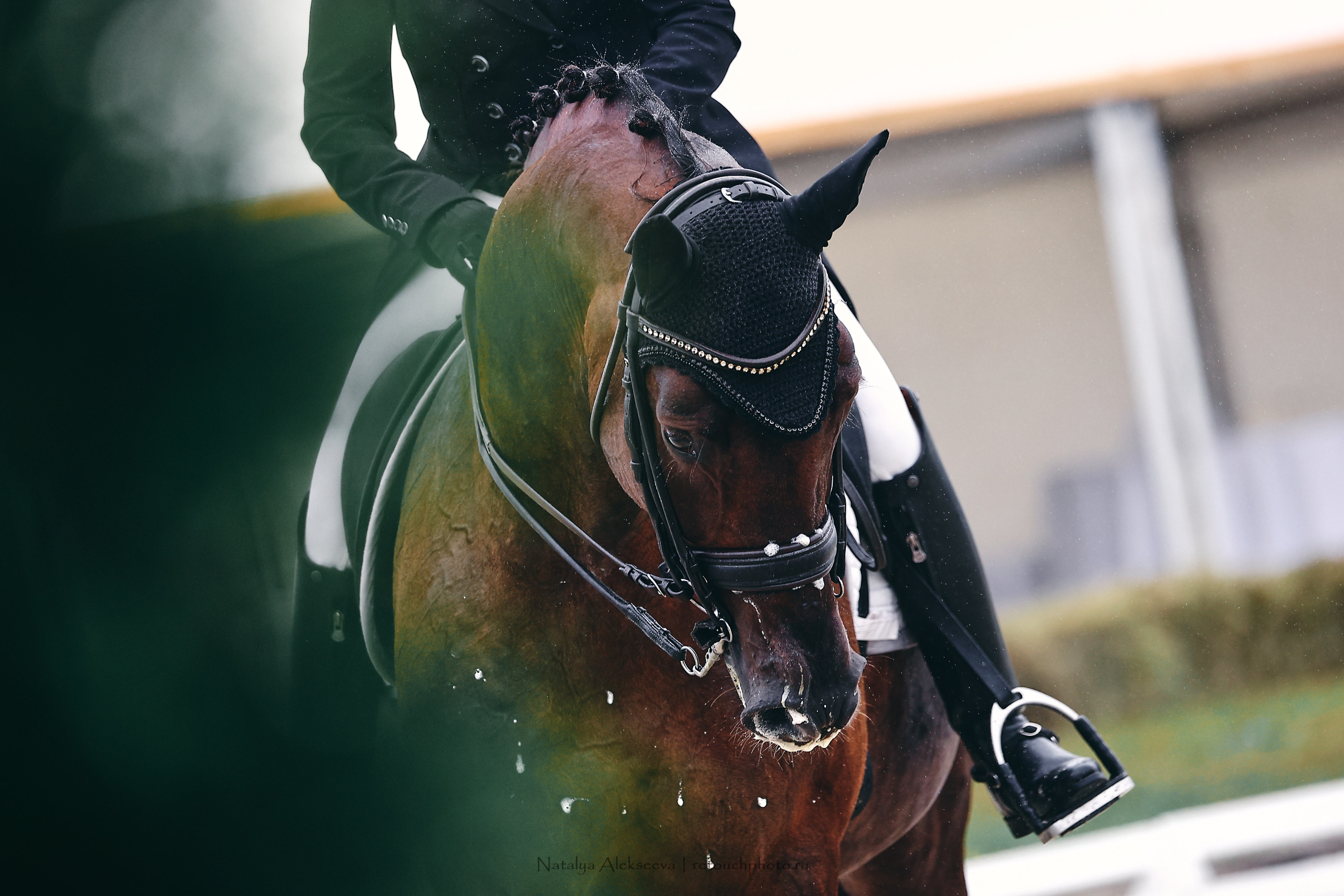 Личный ЧР по выездке, КСК Новый Век | 09'2022. Репортажный фотограф и ретушер в Москве Наталья Алексеева