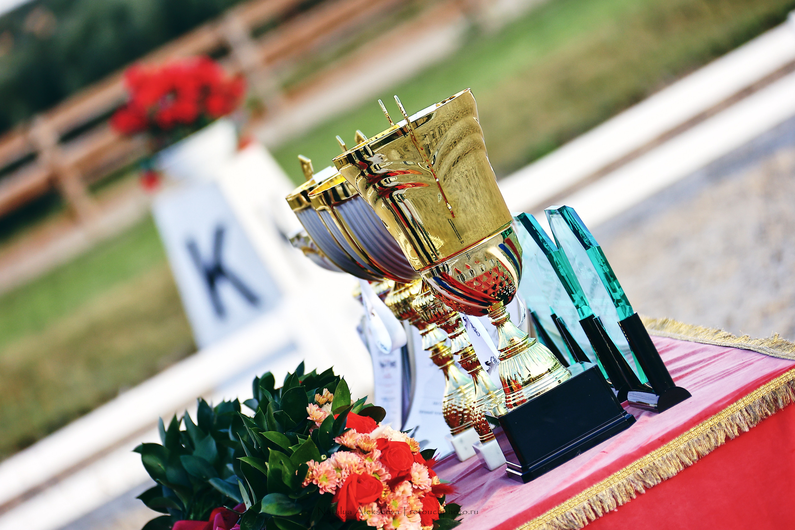 Личный ЧР по выездке, КСК Новый Век | 09'2022. Репортажный фотограф и ретушер в Москве Наталья Алексеева