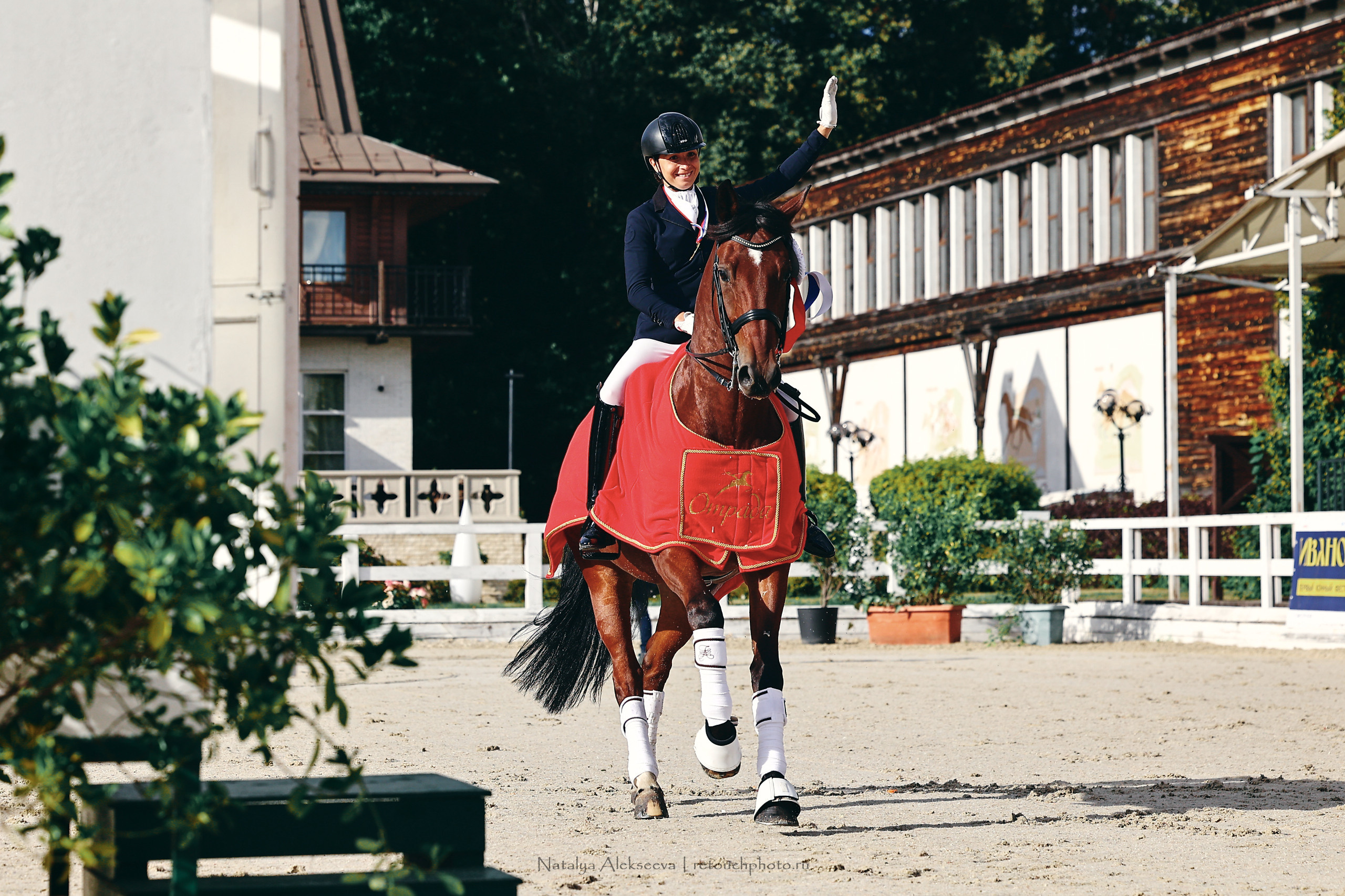 Кубок КСК Отрада по выездке | 09'2022. Репортажный фотограф и ретушер в Москве Наталья Алексеева