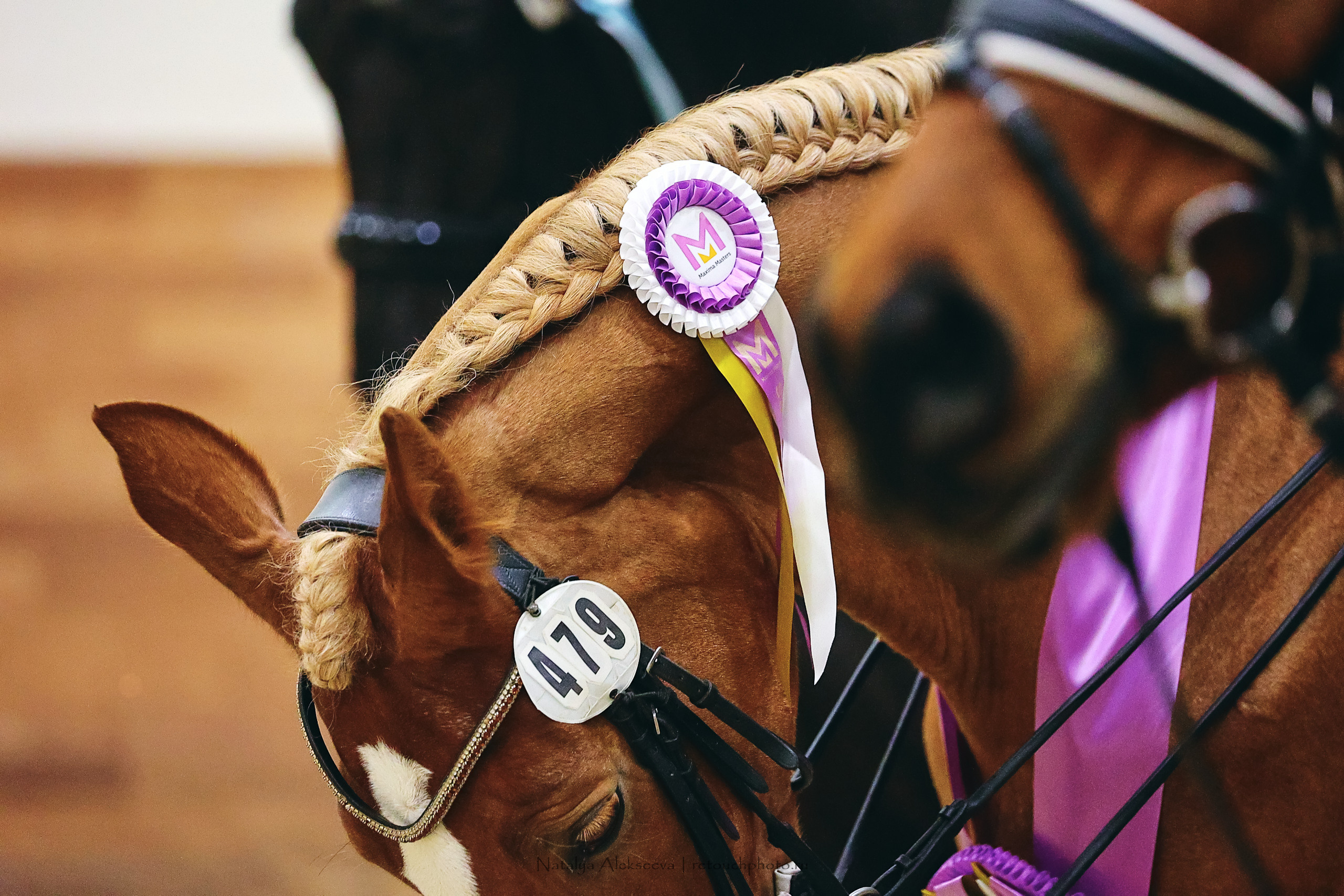 Финал Кубка Maxima Park по выездке, Maxima Stables | 10'2022. Репортажный фотограф и ретушер в Москве Наталья Алексеева