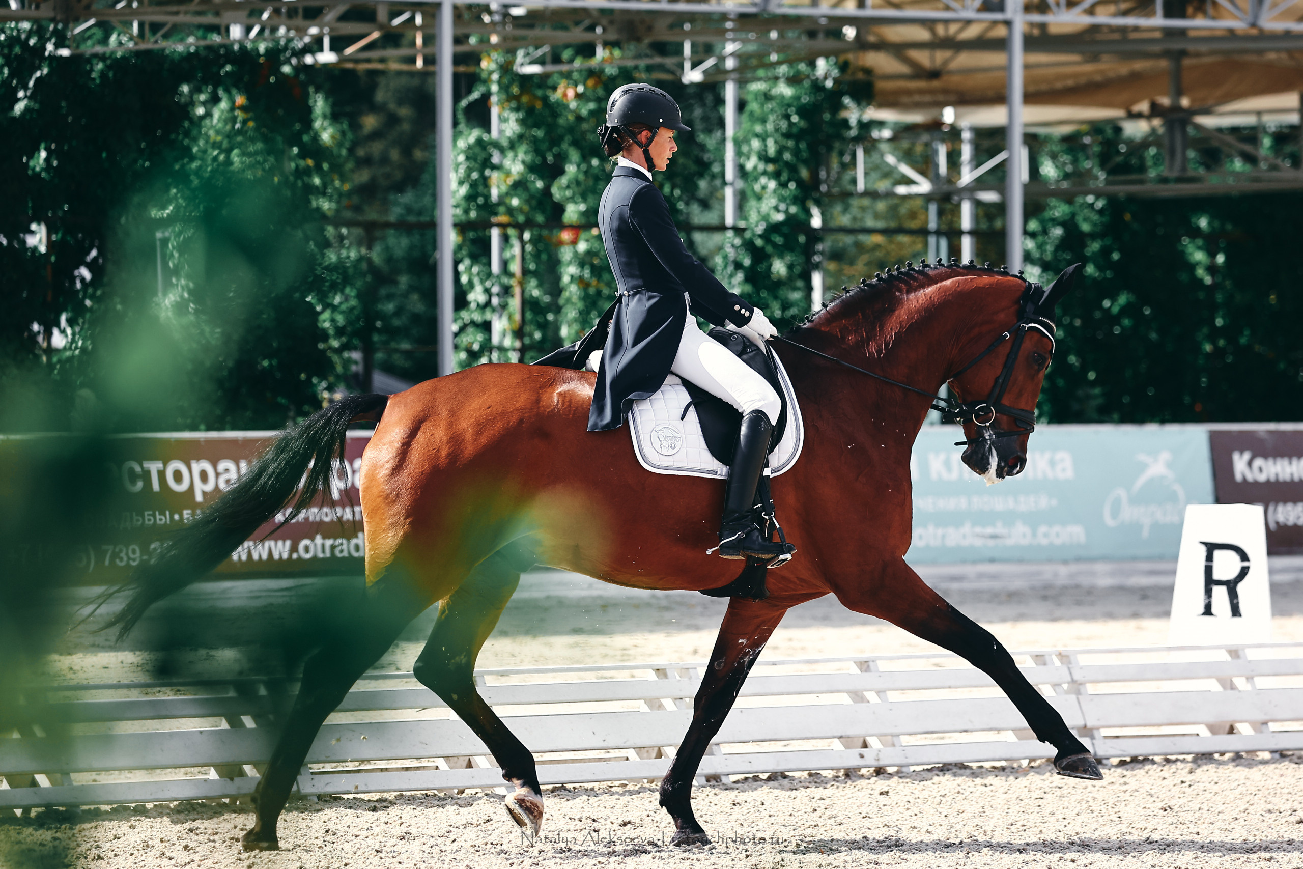 Кубок КСК Отрада по выездке | 09'2022. Репортажный фотограф и ретушер в Москве Наталья Алексеева