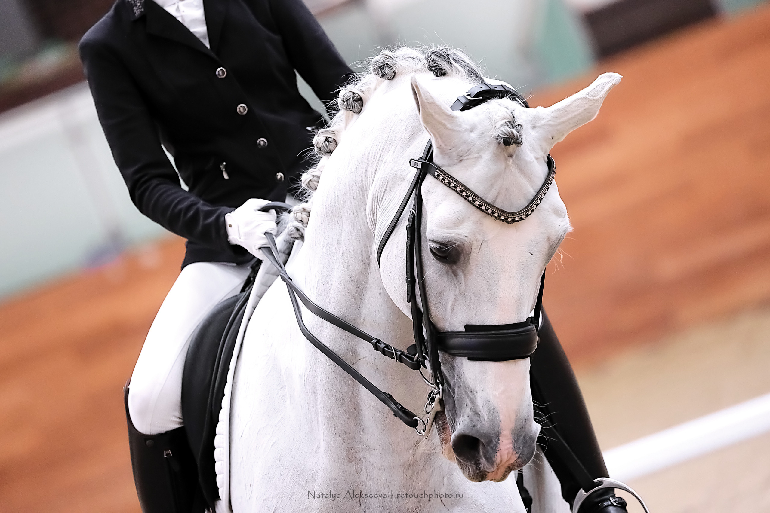 Финал Кубка Maxima Park по выездке, Maxima Stables | 10'2022. Репортажный фотограф и ретушер в Москве Наталья Алексеева