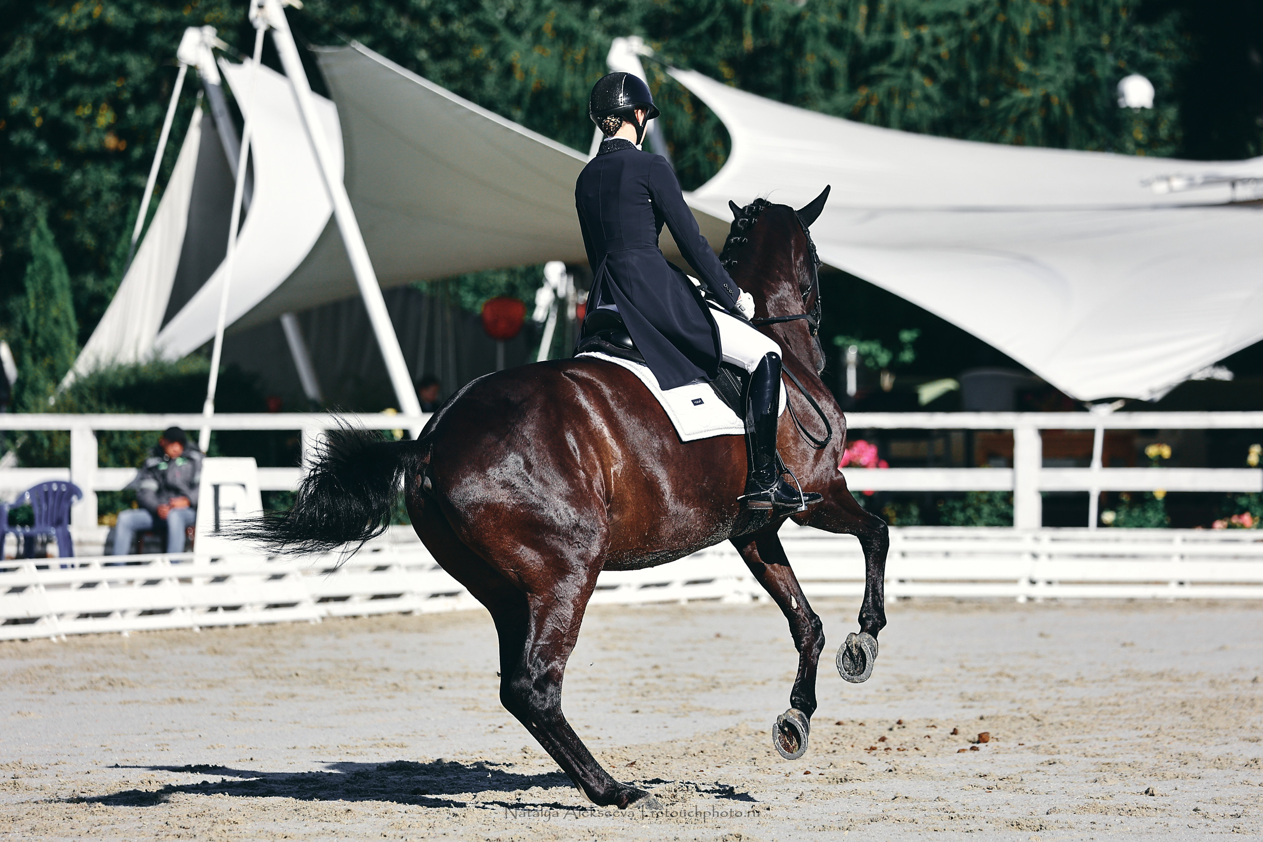 Кубок КСК Отрада по выездке | 09'2022. Репортажный фотограф и ретушер в Москве Наталья Алексеева