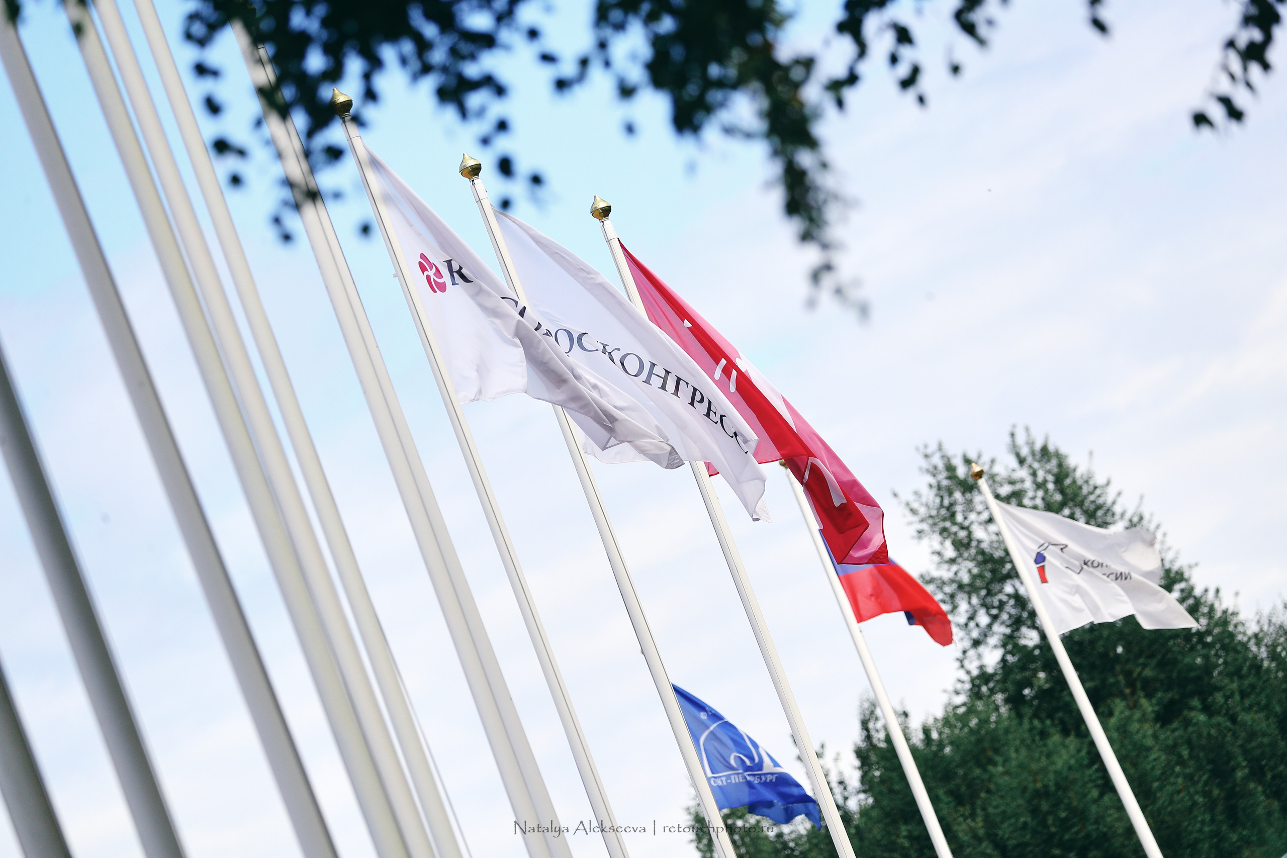 Кубок Санкт-Петербурга по конкуру, КСК Вента-Арена | 07'2022. Репортажный фотограф и ретушер в Москве Наталья Алексеева