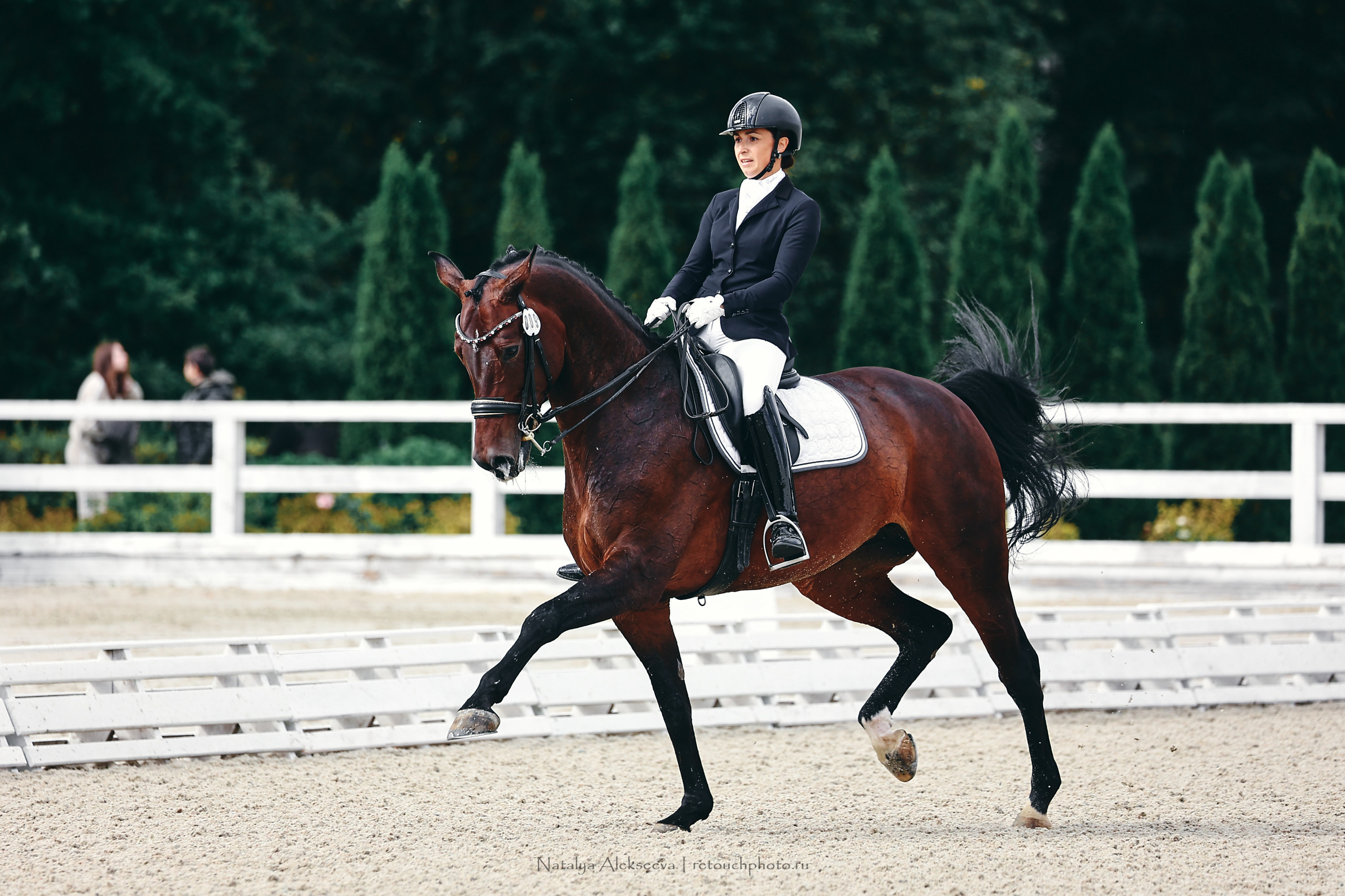 Кубок КСК Отрада по выездке | 09'2022. Репортажный фотограф и ретушер в Москве Наталья Алексеева