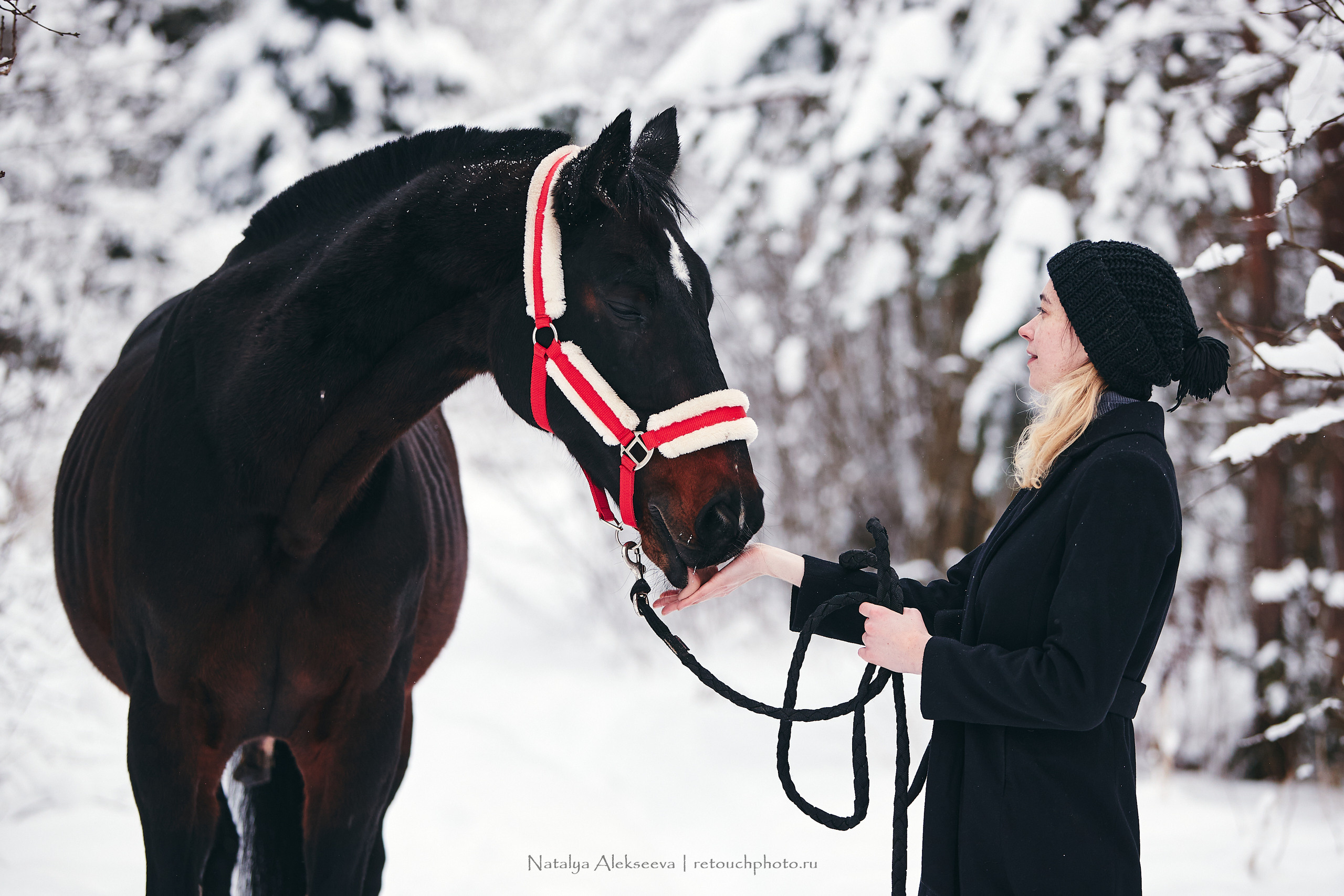 Аль Кампо и его люди, КСК Шарапово. Репортажный фотограф и ретушер в Москве Наталья Алексеева