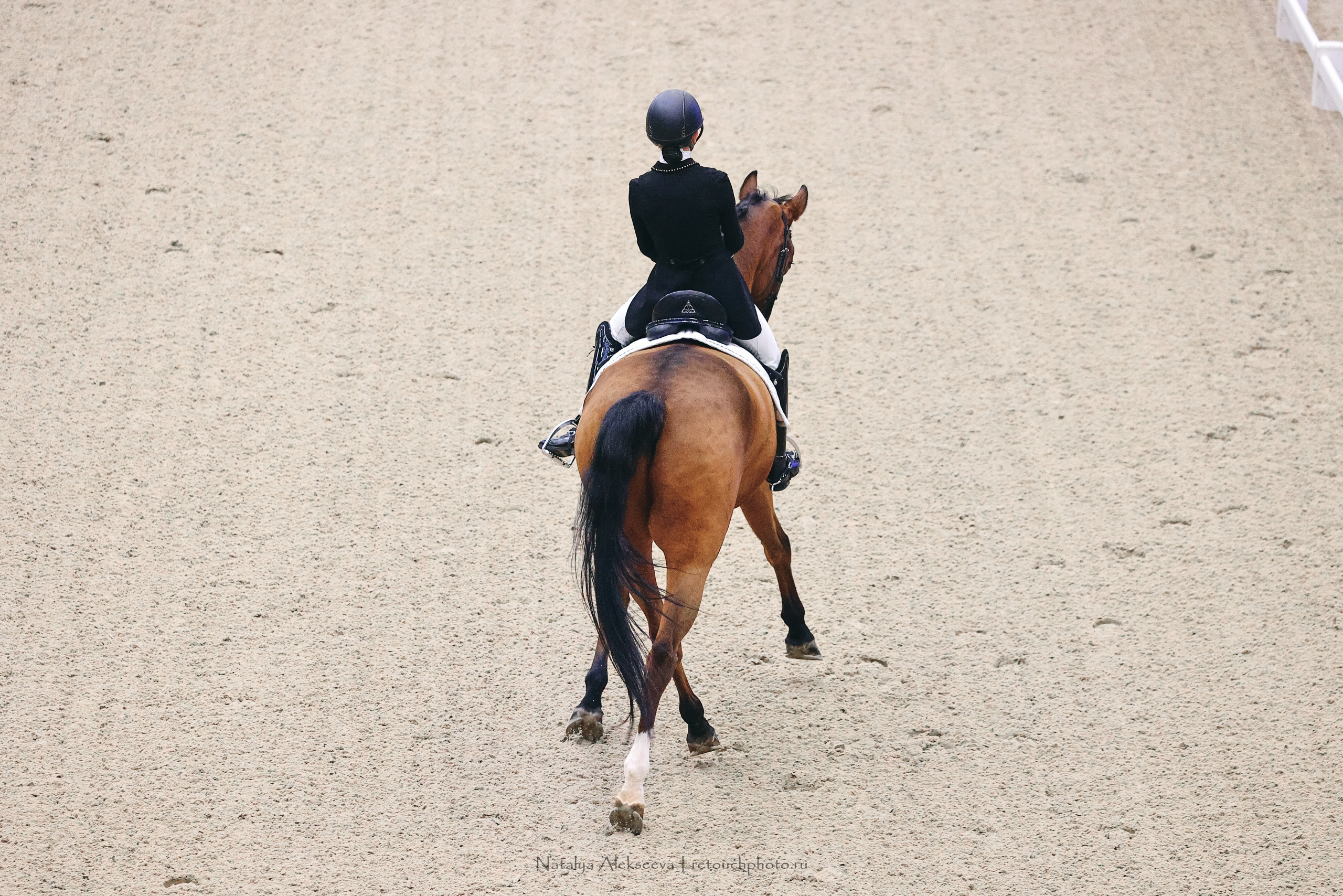 Eurasia Stars по выездке, Maxima Stables | 11'2022. Репортажный фотограф и ретушер в Москве Наталья Алексеева