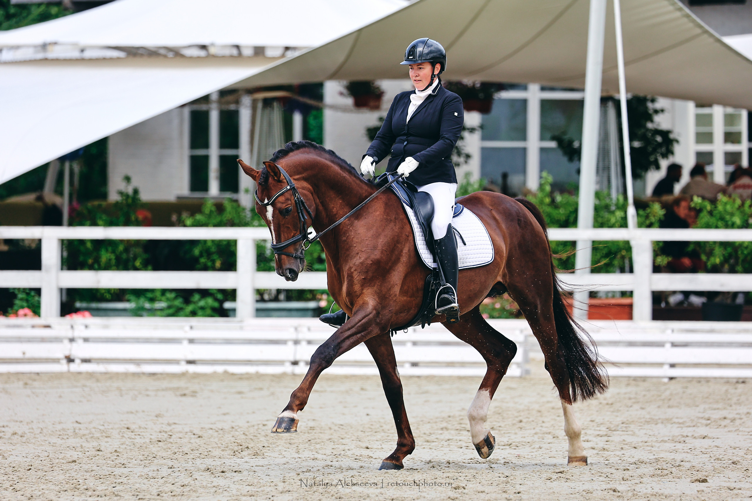 Летний Кубок ФКСМ по выездке, КСК Отрада | 07'2022. Репортажный фотограф и ретушер в Москве Наталья Алексеева