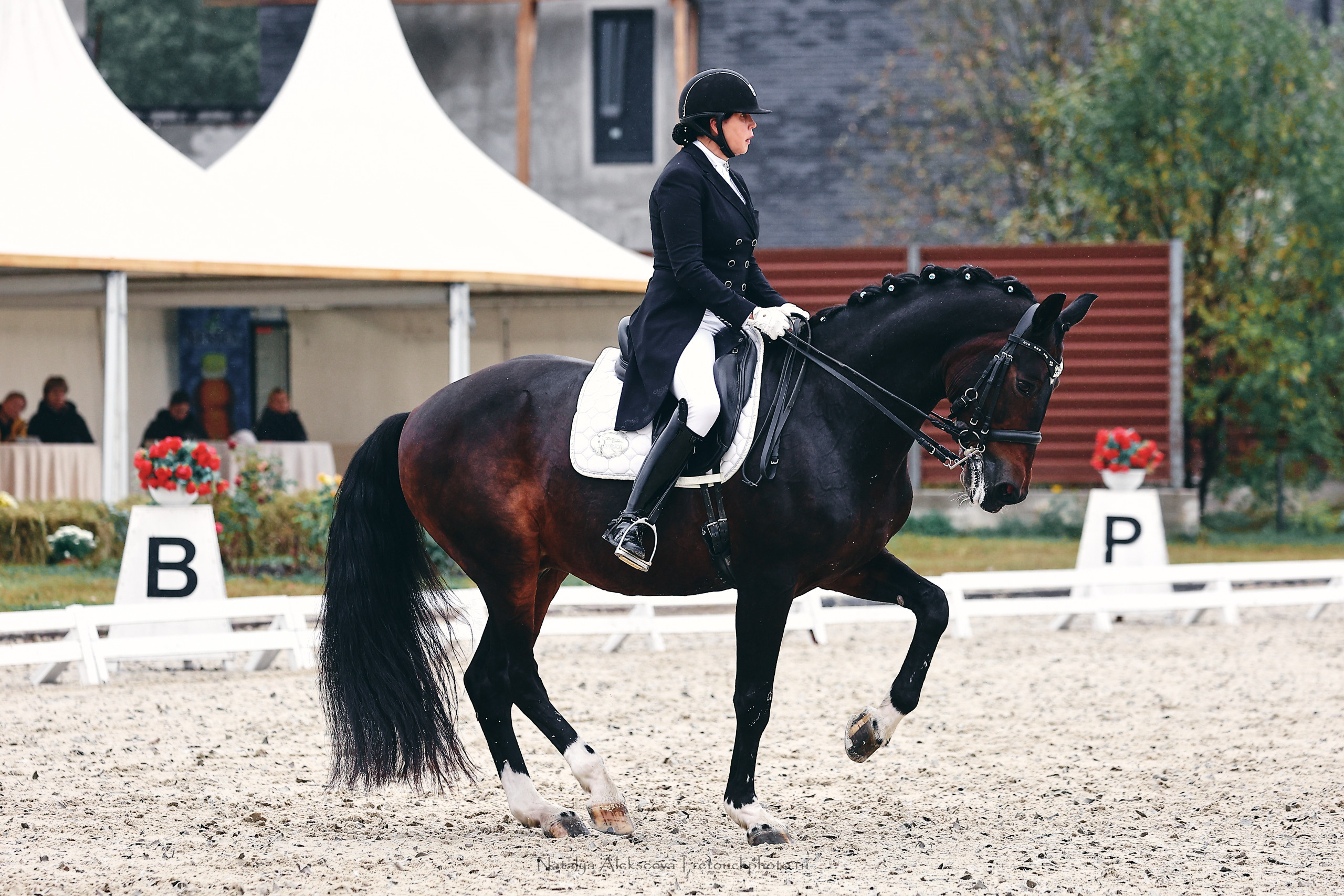Личный ЧР по выездке, КСК Новый Век | 09'2022. Репортажный фотограф и ретушер в Москве Наталья Алексеева
