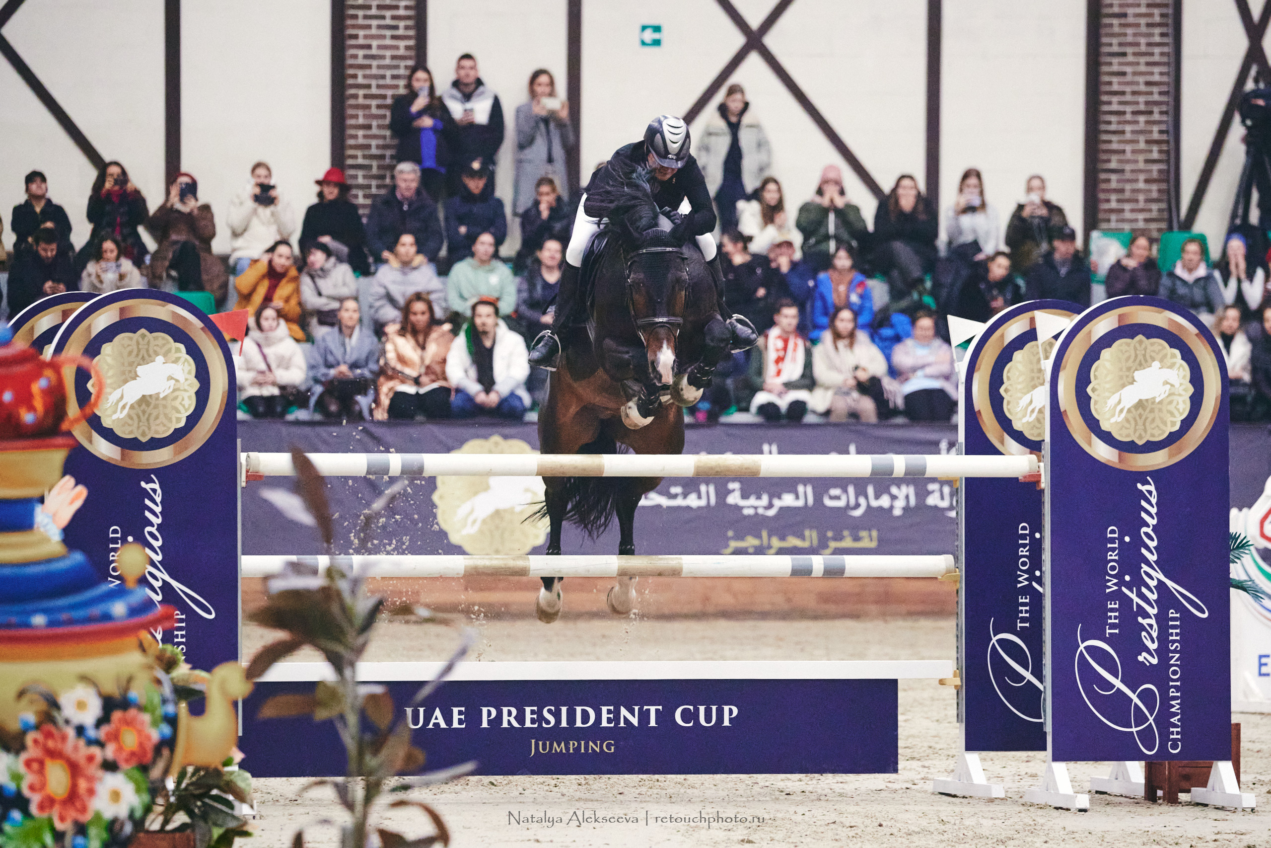 Кубок Президента ОАЭ по конкуру, Maxima Stables | 12'2022. Репортажный фотограф и ретушер в Москве Наталья Алексеева