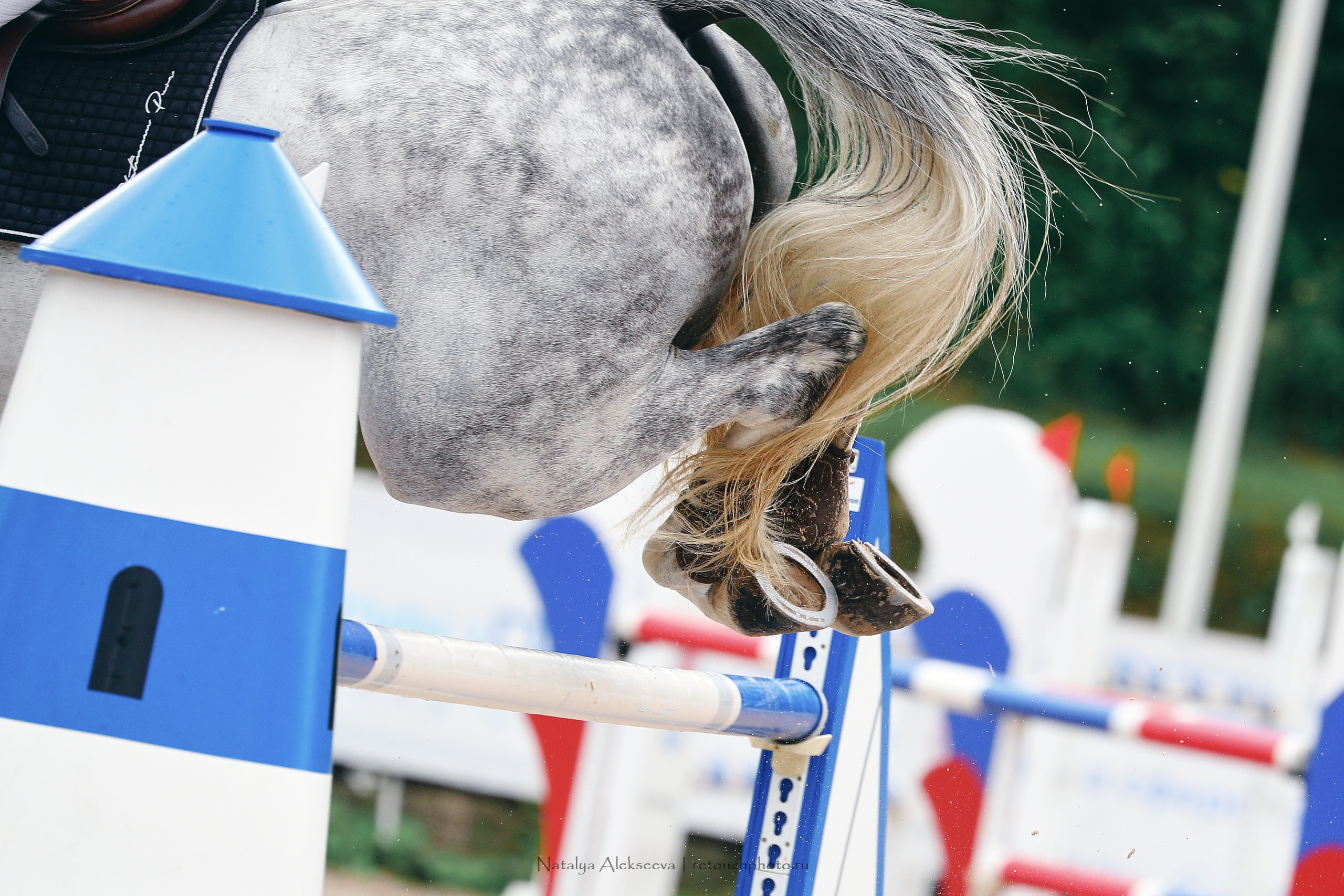 Кубок Санкт-Петербурга по конкуру, КСК Вента-Арена | 07'2022. Репортажный фотограф и ретушер в Москве Наталья Алексеева