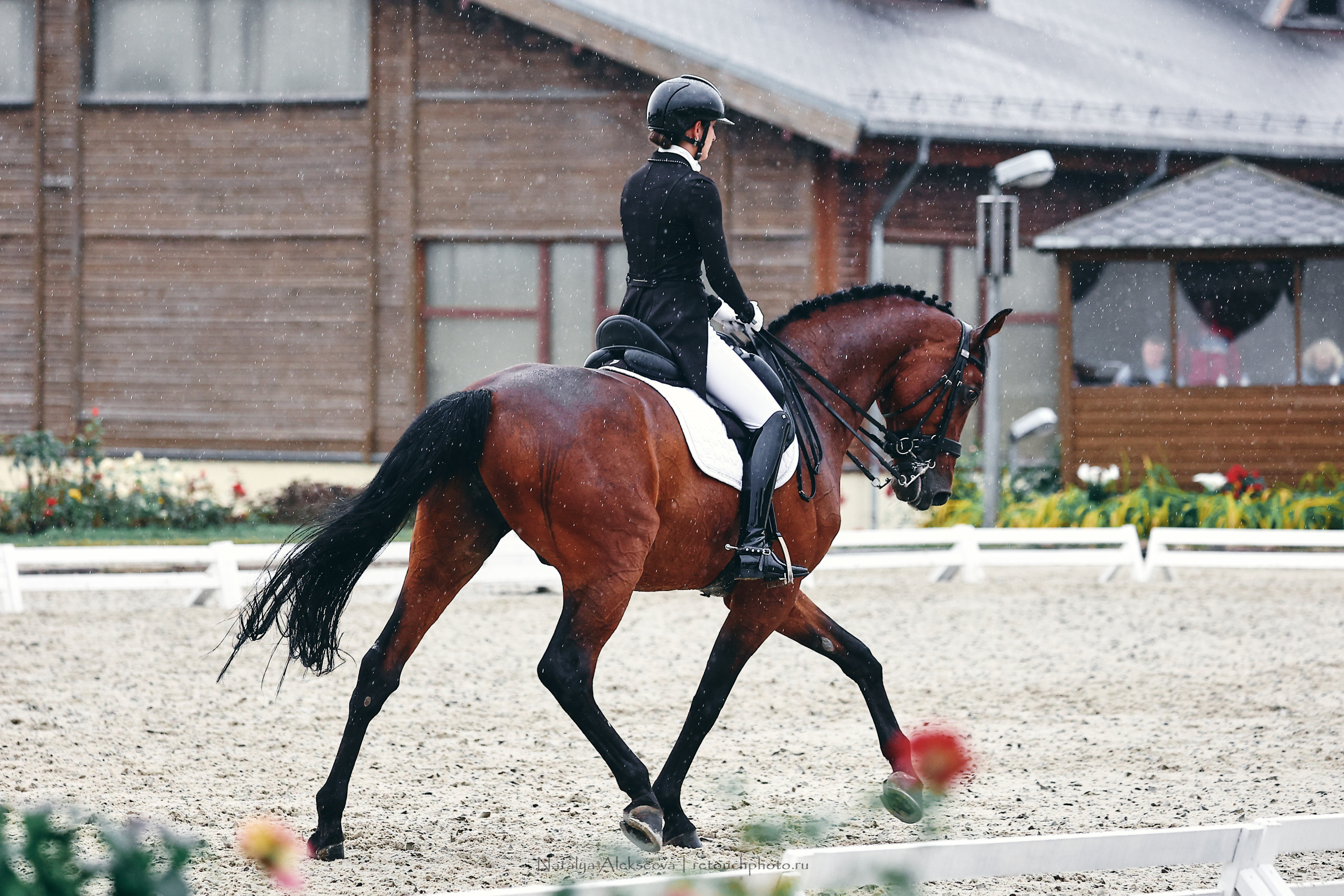 Личный ЧР по выездке, КСК Новый Век | 09'2022. Репортажный фотограф и ретушер в Москве Наталья Алексеева