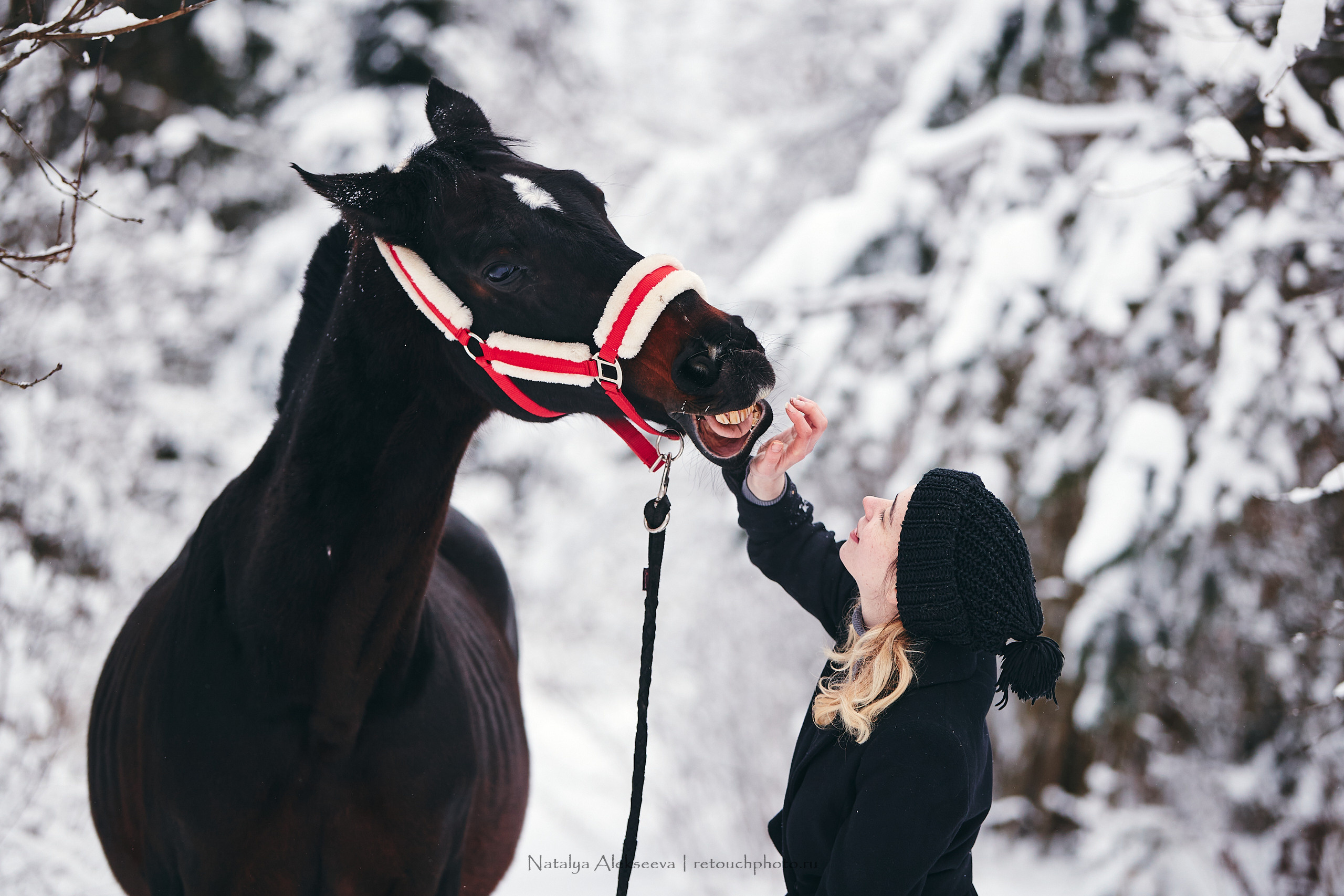 Аль Кампо и его люди, КСК Шарапово. Репортажный фотограф и ретушер в Москве Наталья Алексеева