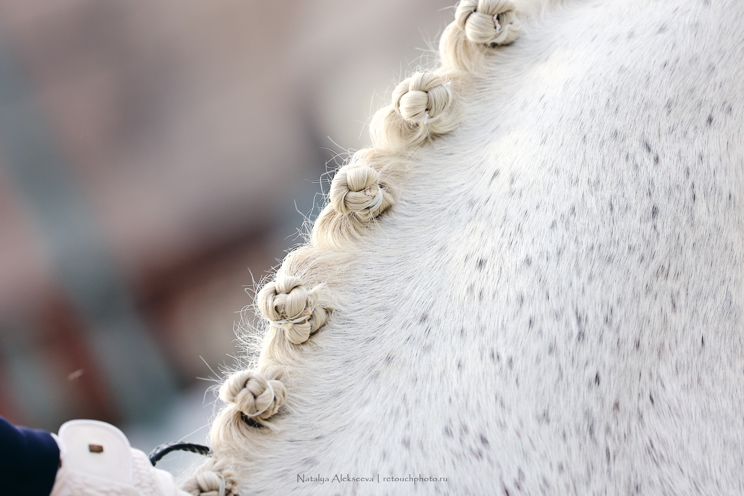 Летний Кубок ФКСМ по выездке, КСК Отрада | 07'2022. Репортажный фотограф и ретушер в Москве Наталья Алексеева