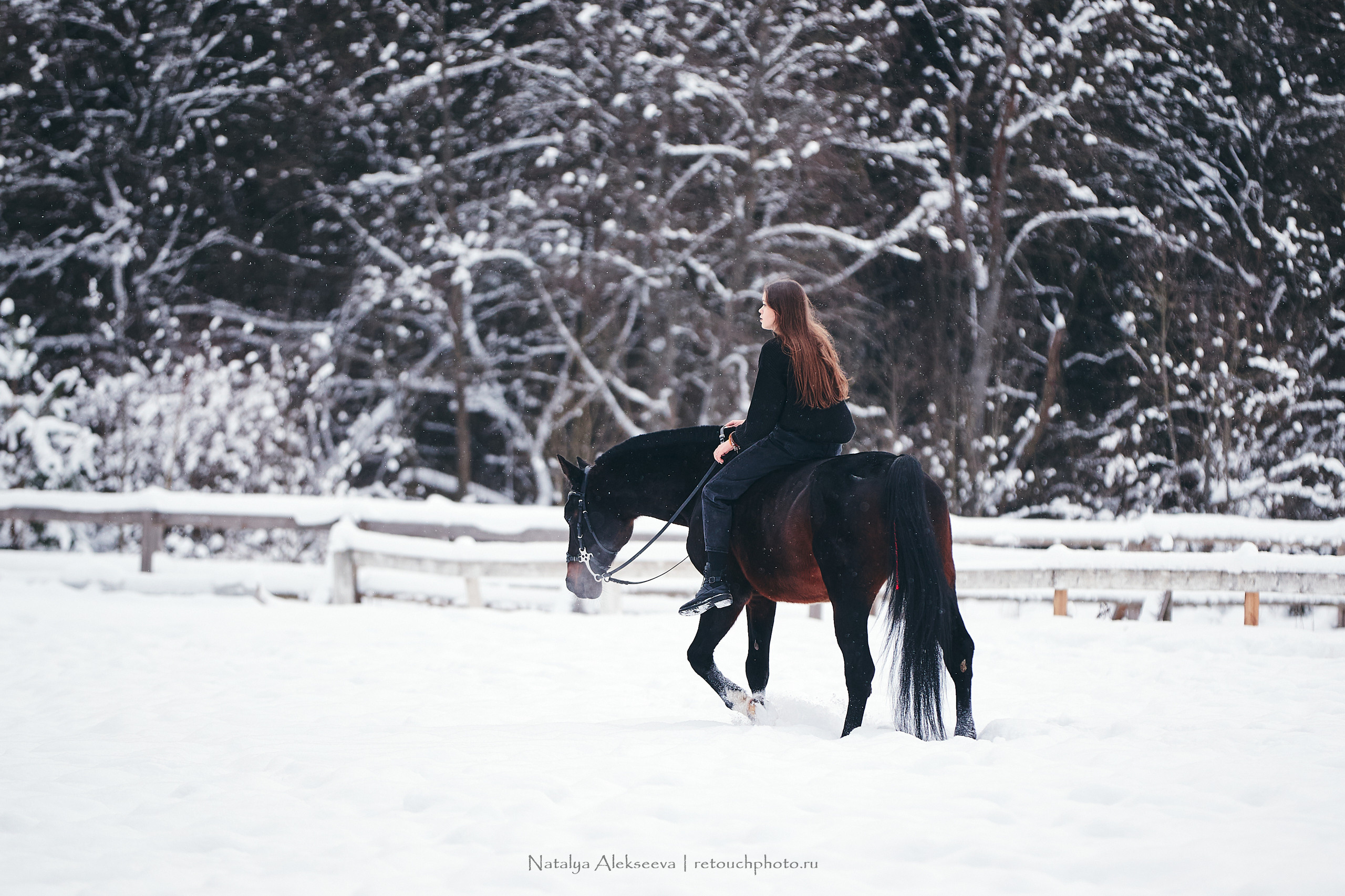 Аль Кампо и его люди, КСК Шарапово. Репортажный фотограф и ретушер в Москве Наталья Алексеева