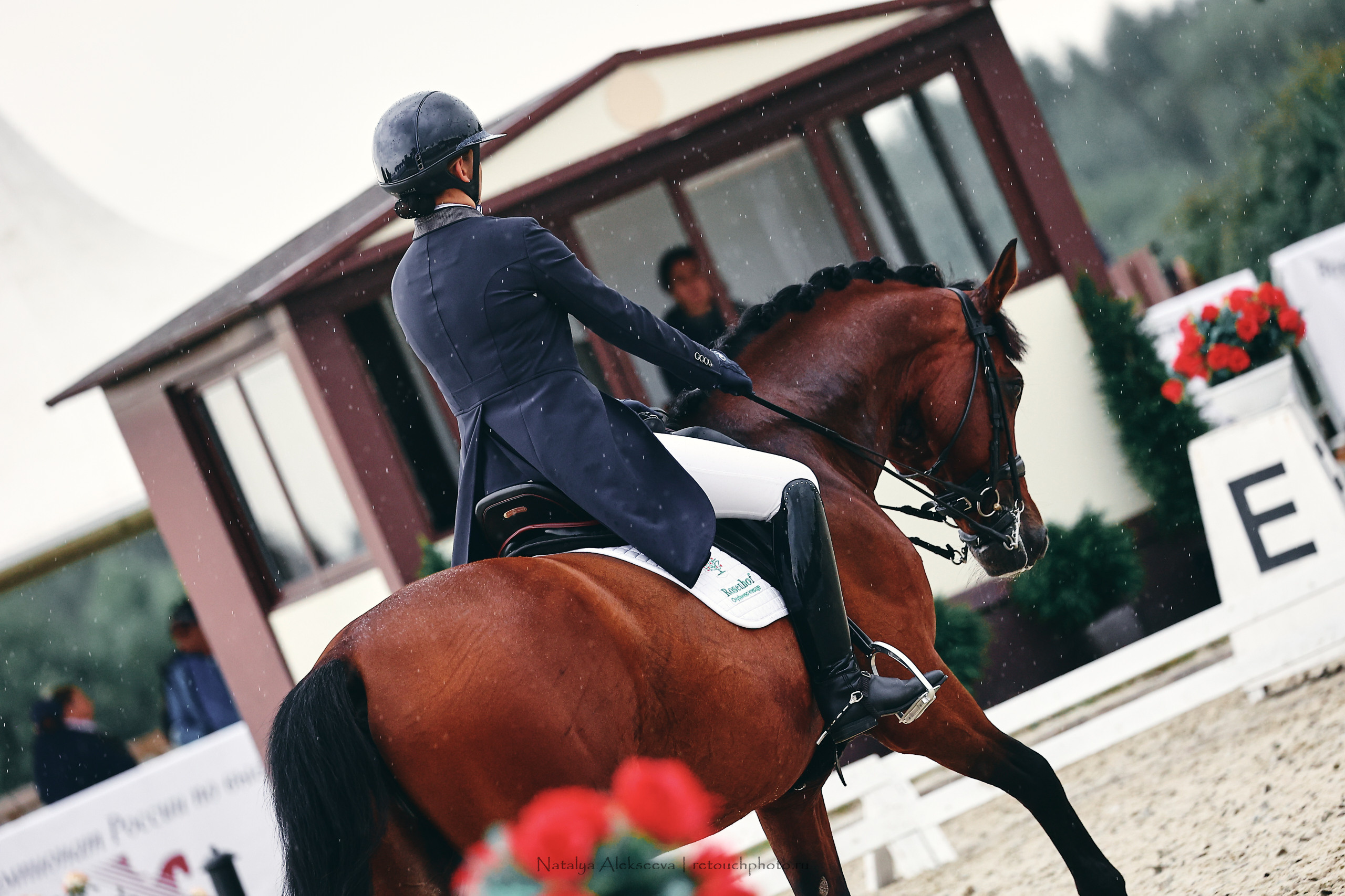 Личный ЧР по выездке, КСК Новый Век | 09'2022. Репортажный фотограф и ретушер в Москве Наталья Алексеева