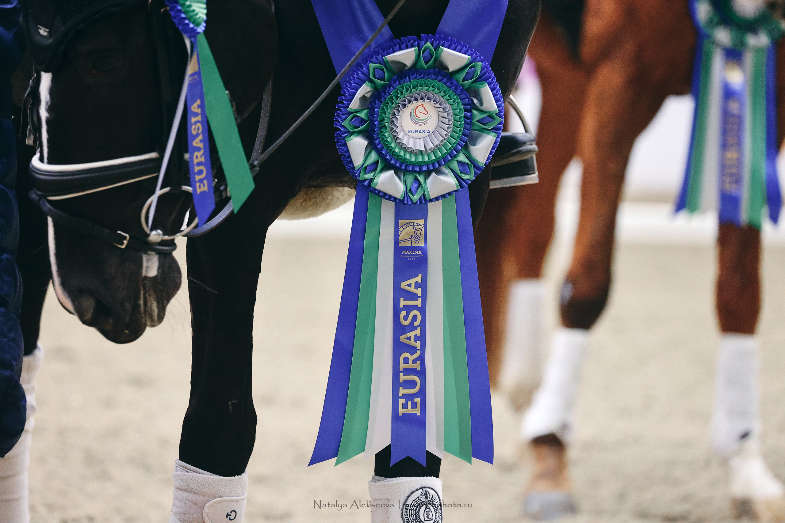 Eurasia Stars по выездке, Maxima Stables | 11'2022. Репортажный фотограф и ретушер в Москве Наталья Алексеева
