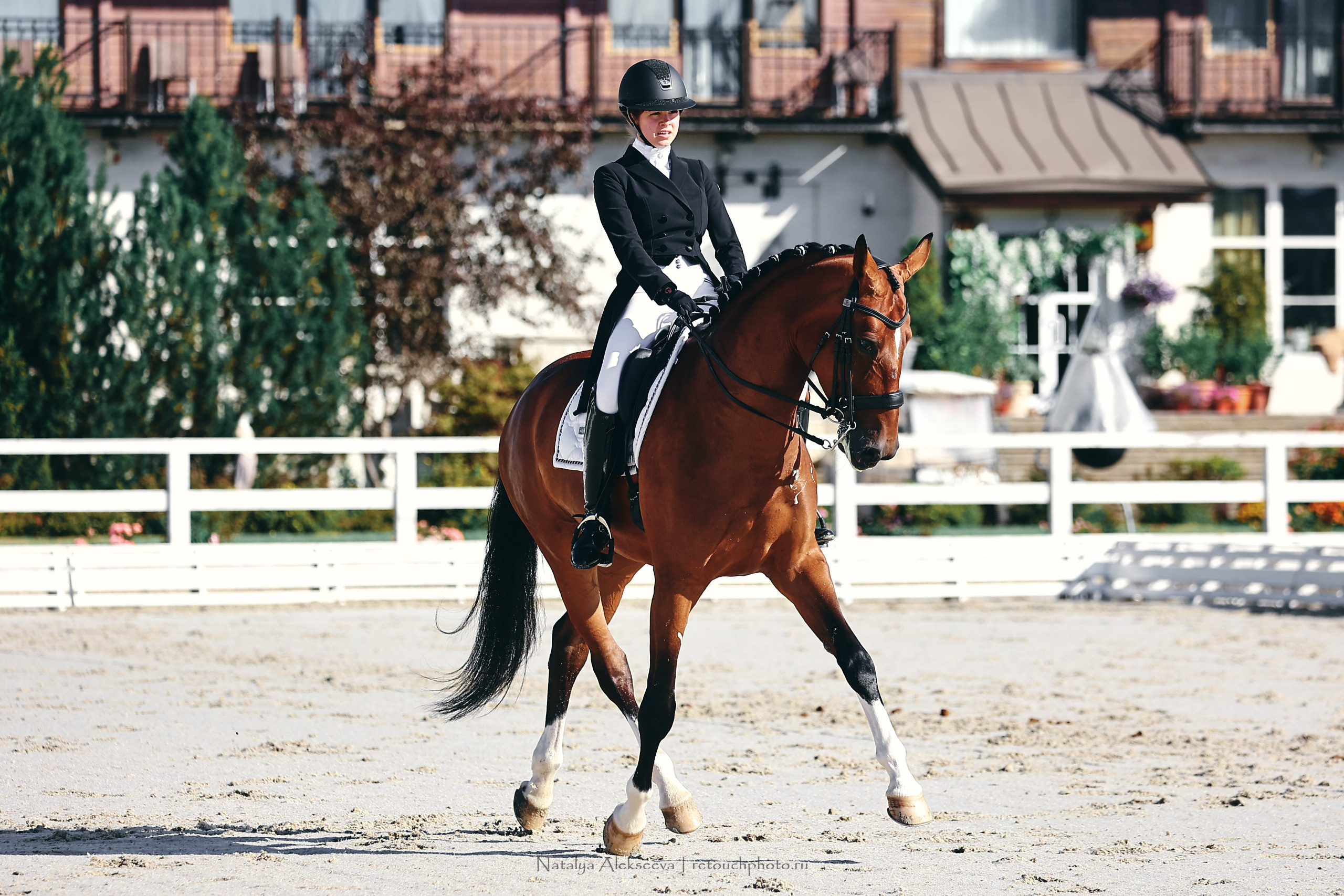 Кубок КСК Отрада по выездке | 09'2022. Репортажный фотограф и ретушер в Москве Наталья Алексеева