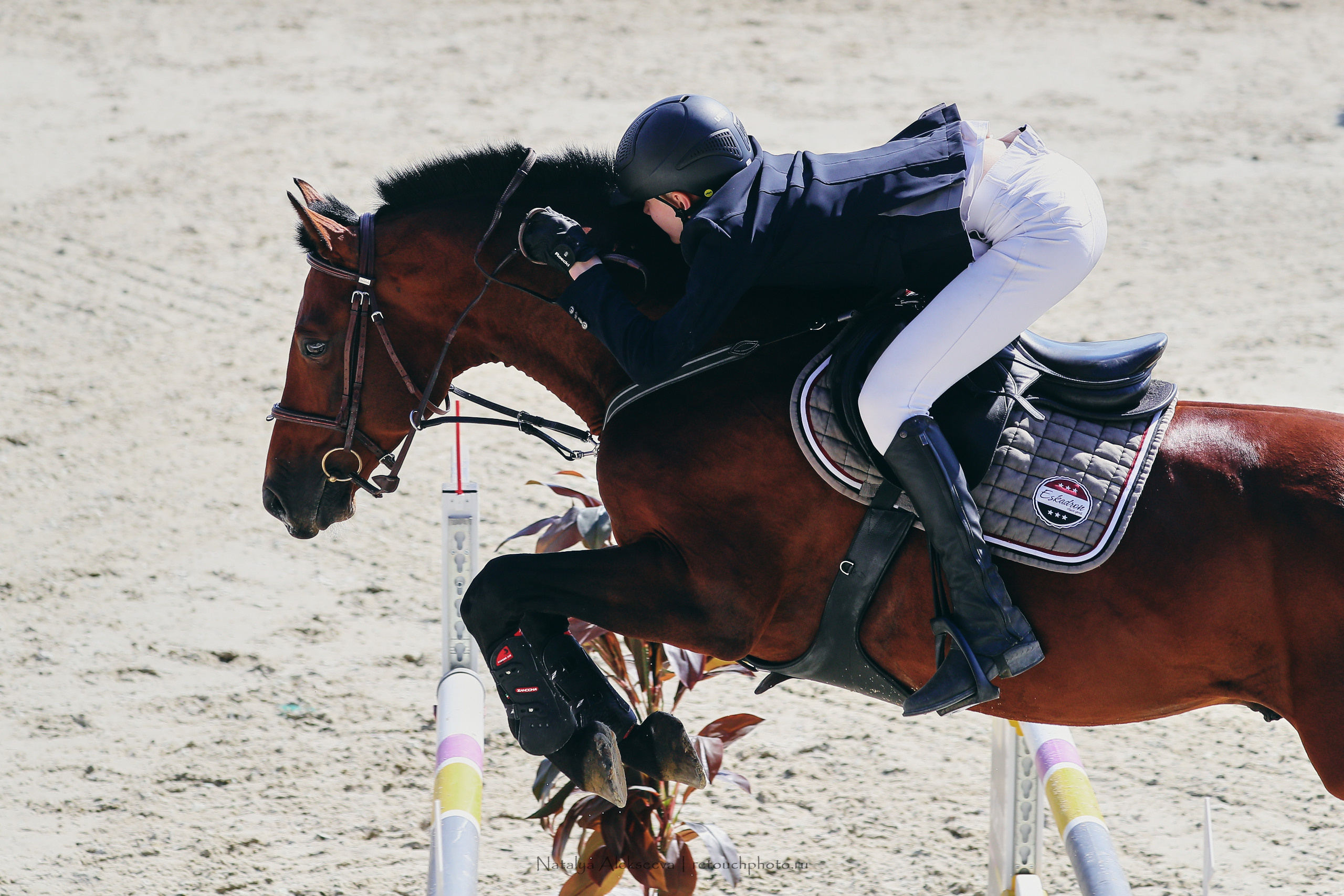 Кубок Maxima Masters Eurasia, Maxima Stables | 06'2022. Репортажный фотограф и ретушер в Москве Наталья Алексеева