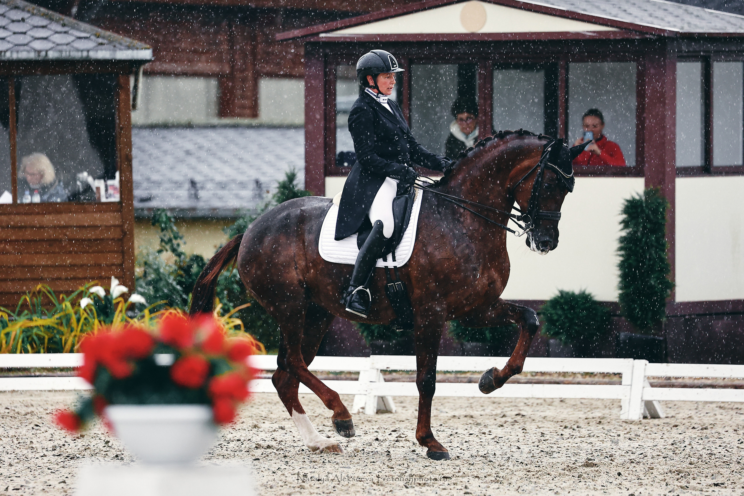 Личный ЧР по выездке, КСК Новый Век | 09'2022. Репортажный фотограф и ретушер в Москве Наталья Алексеева