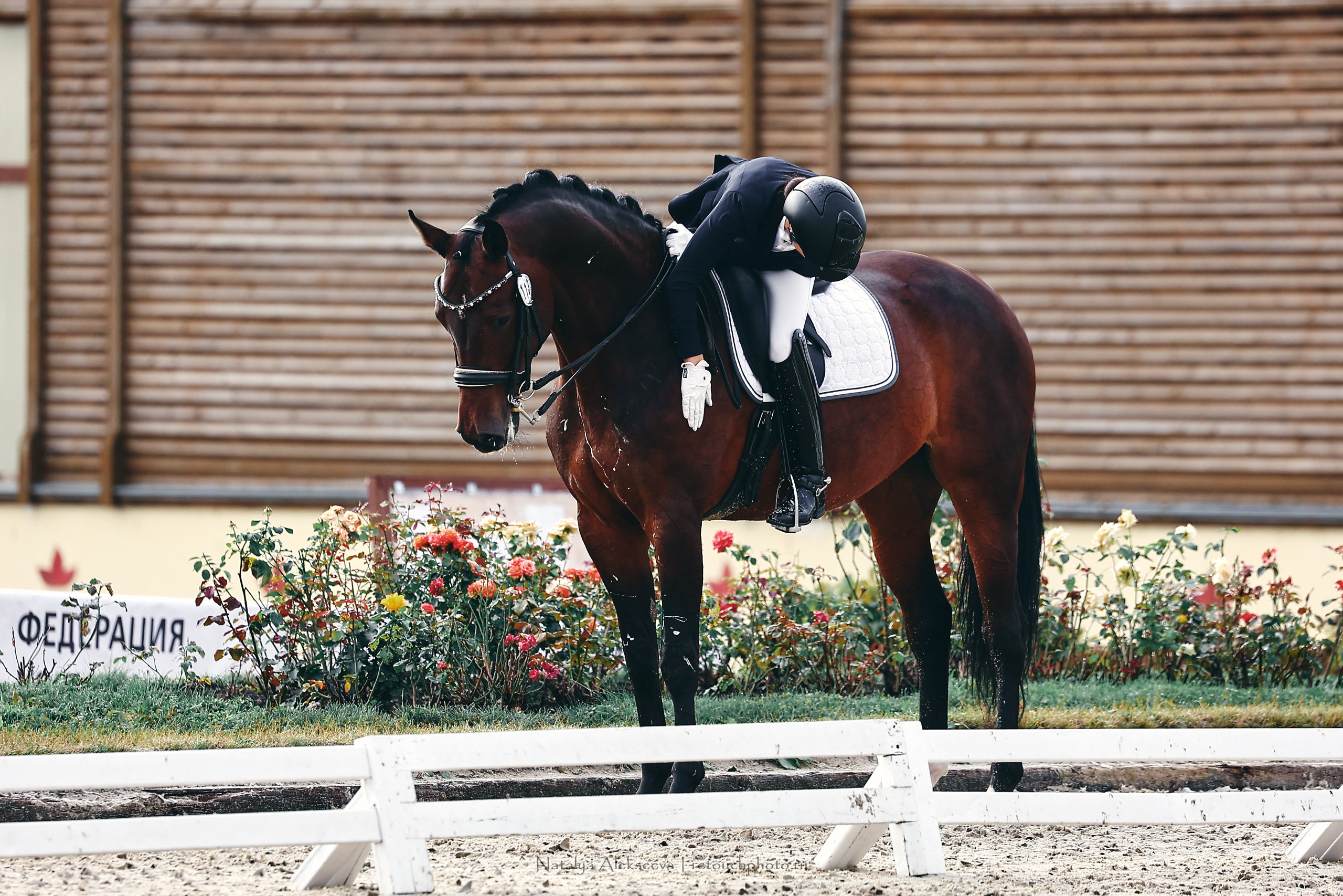 Личный ЧР по выездке, КСК Новый Век | 09'2022. Репортажный фотограф и ретушер в Москве Наталья Алексеева