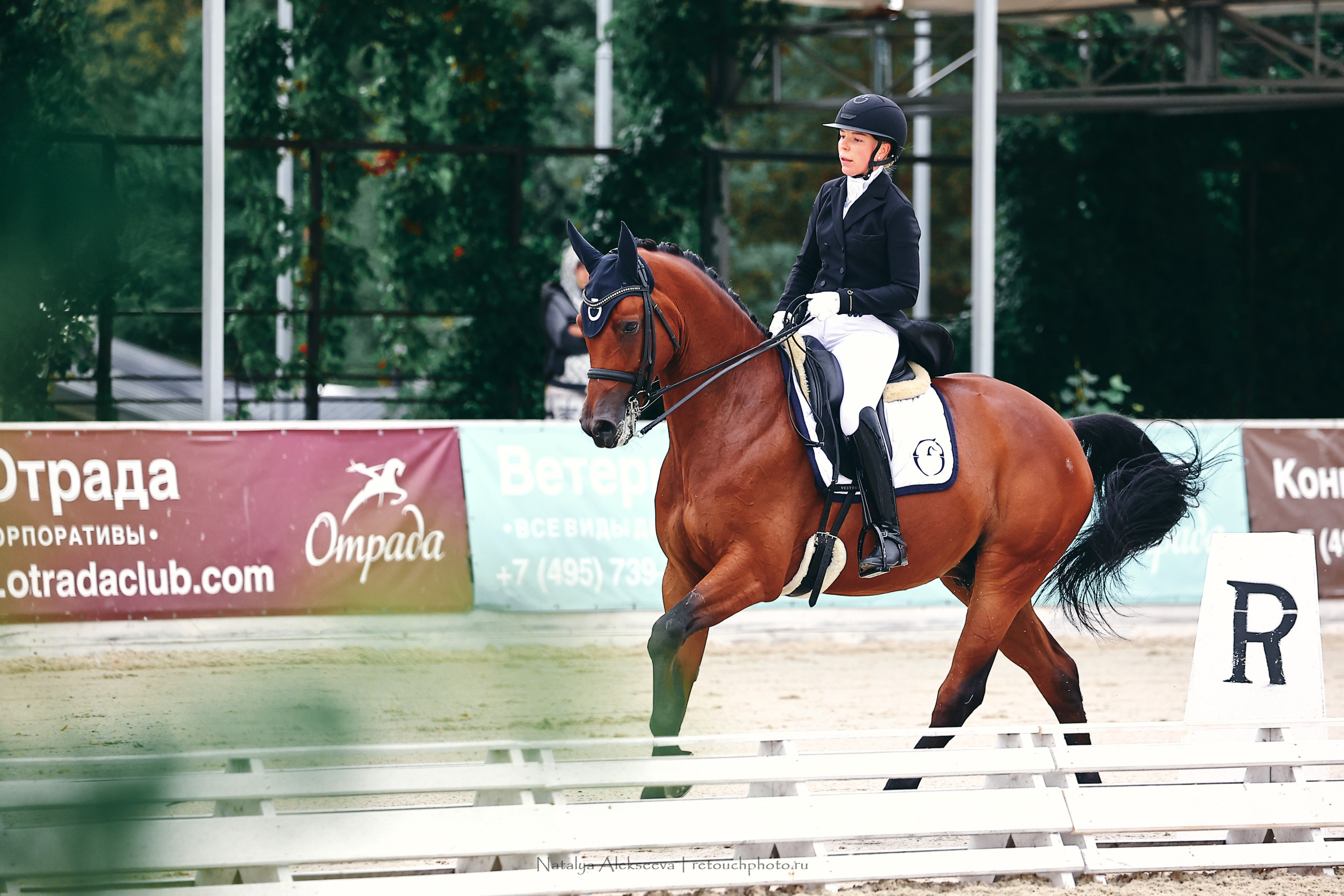 Кубок КСК Отрада по выездке | 09'2022. Репортажный фотограф и ретушер в Москве Наталья Алексеева