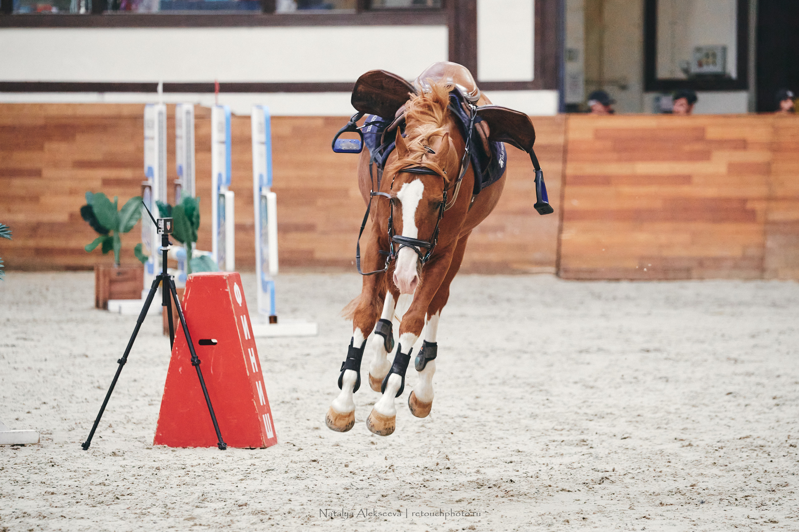 Финал Кубка Maxima Park по конкуру, Maxima Stables | 10'2022. Репортажный фотограф и ретушер в Москве Наталья Алексеева