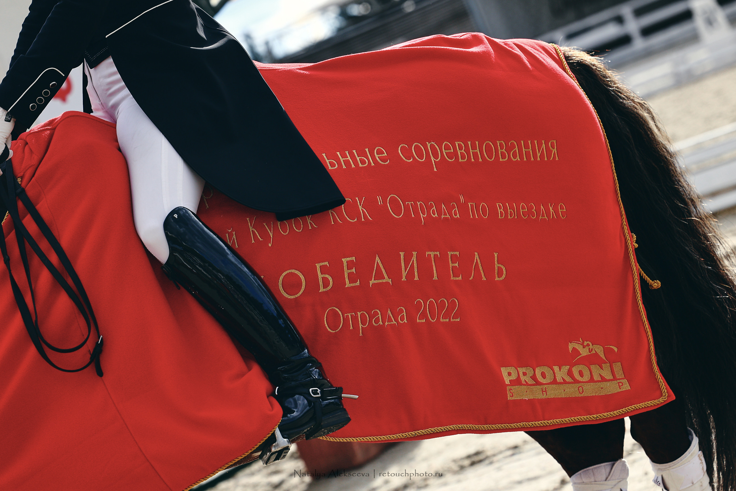 Кубок КСК Отрада по выездке | 09'2022. Репортажный фотограф и ретушер в Москве Наталья Алексеева